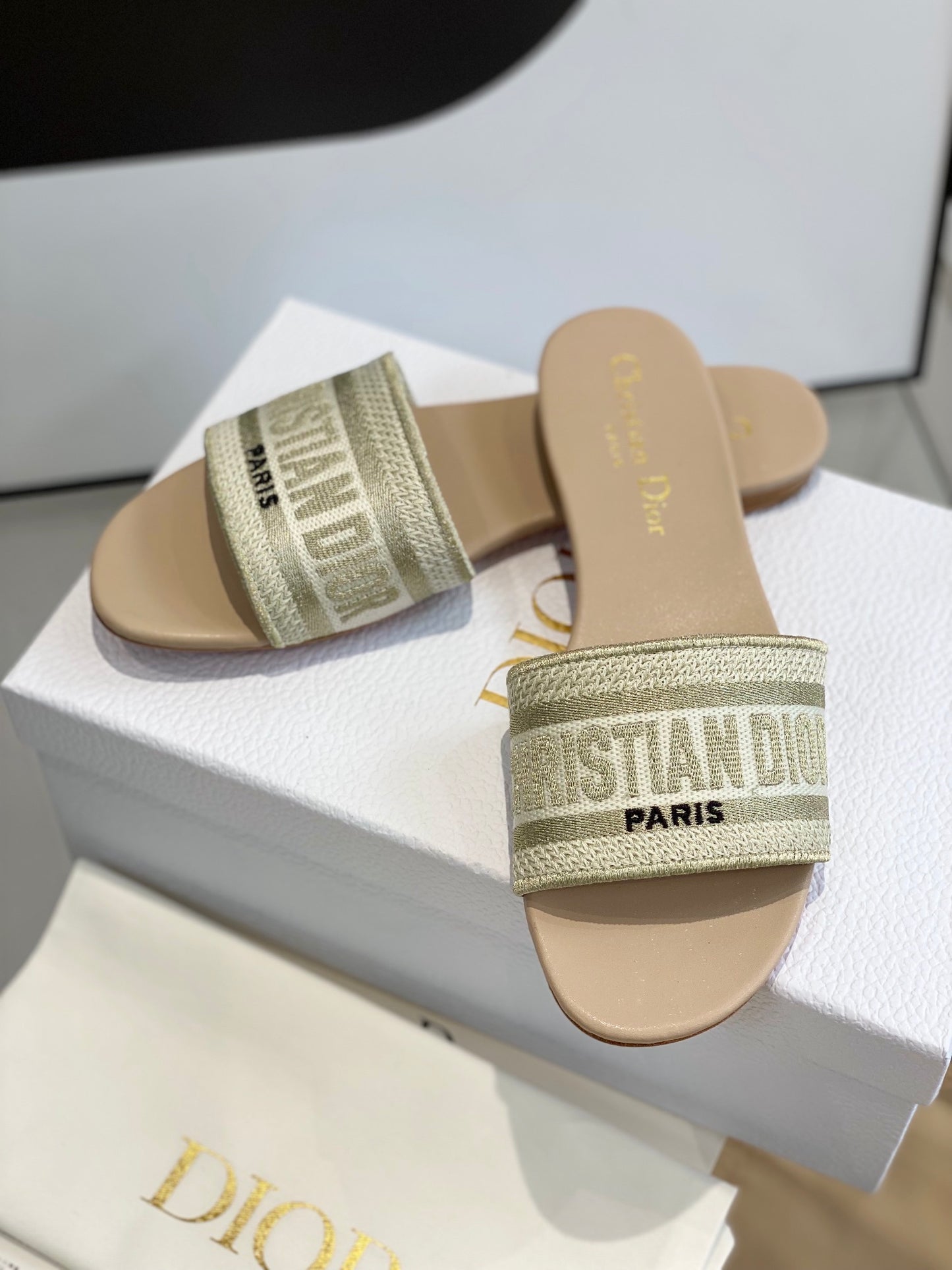 Dior Dway Slides