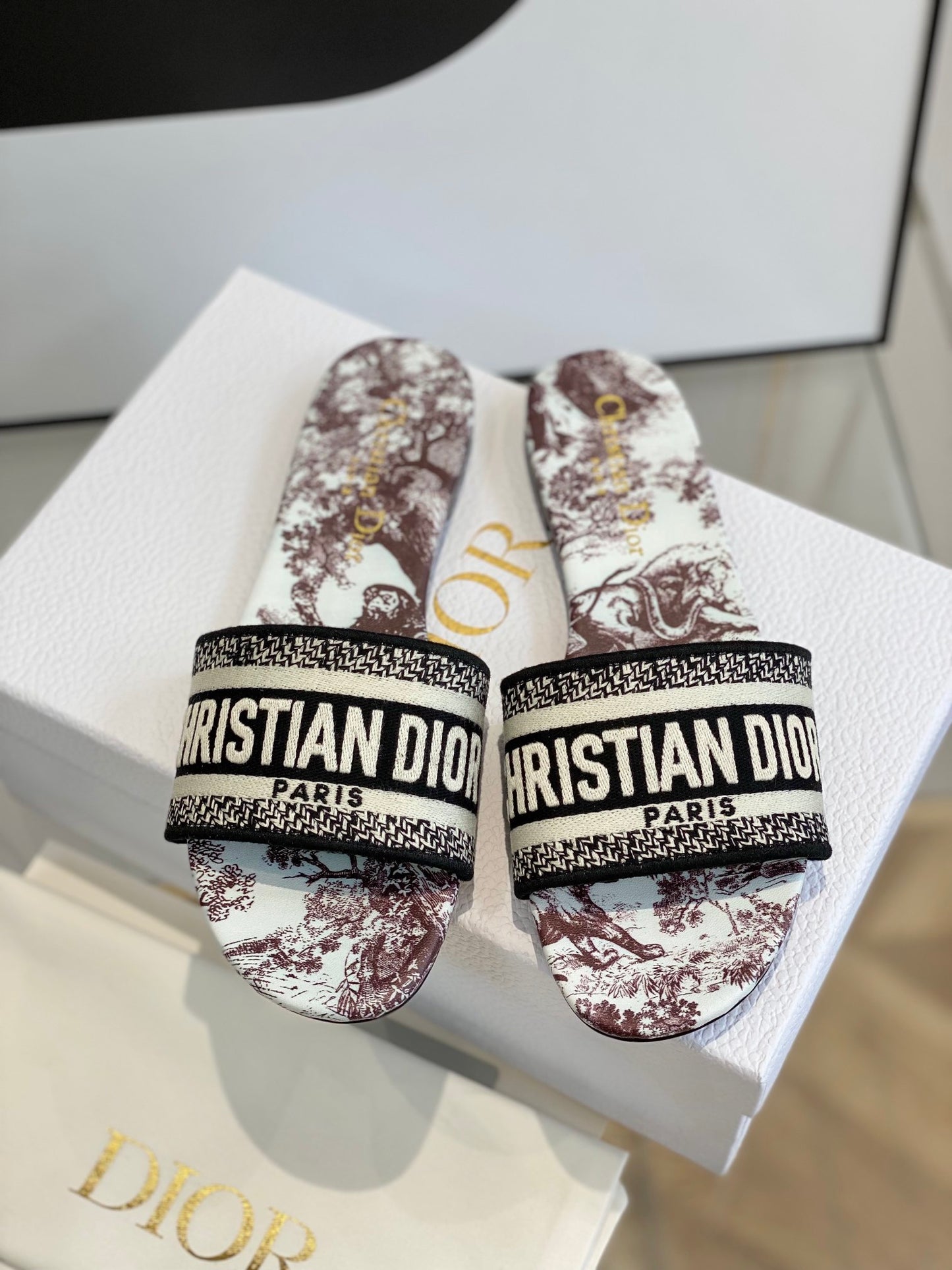 Dior Dway Slides