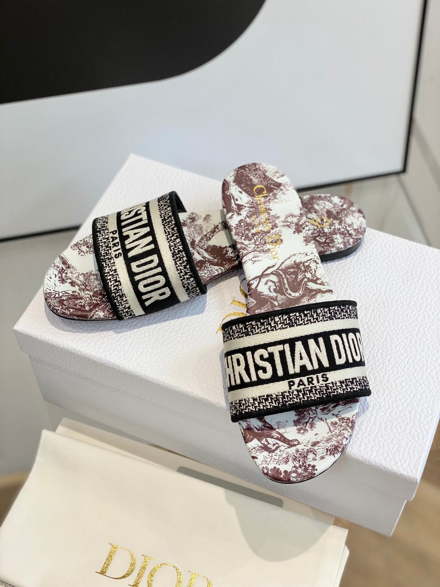 Dior Dway Slides