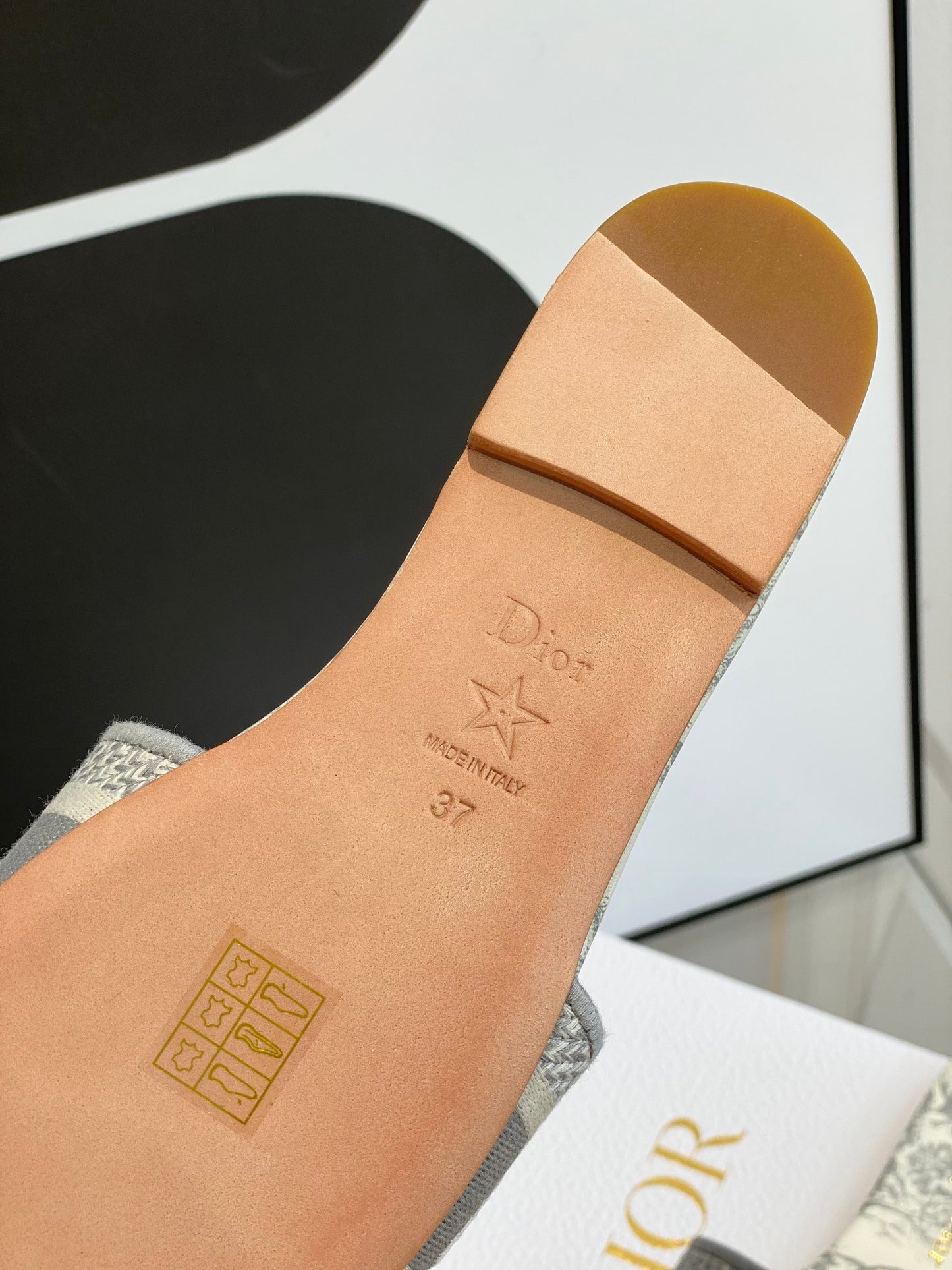 Dior Dway Slides