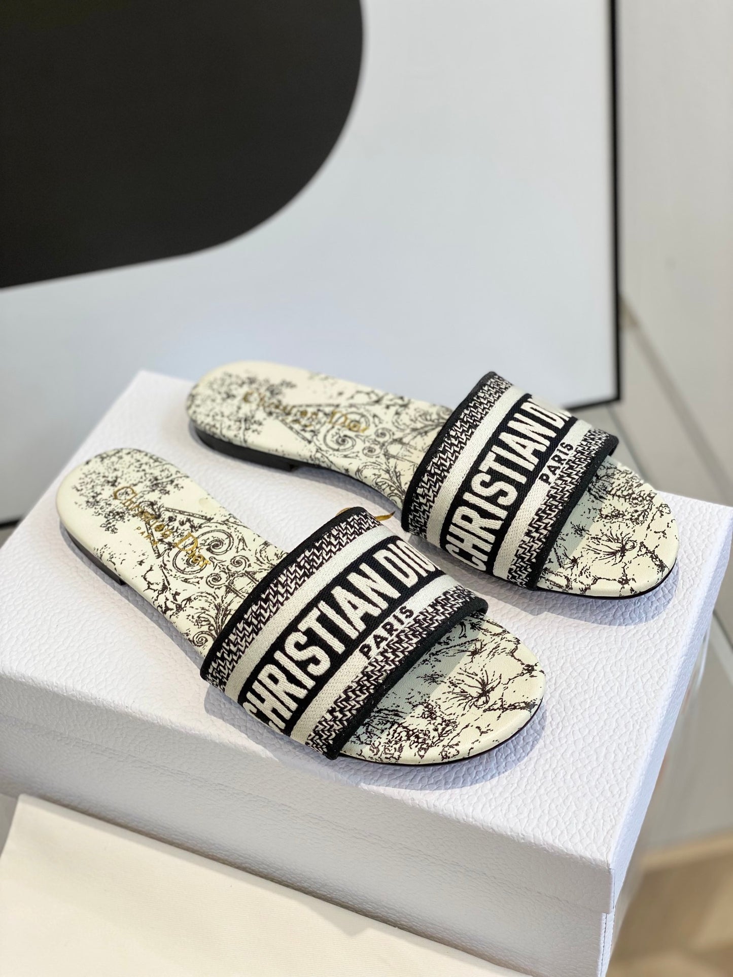 Dior Dway Slides