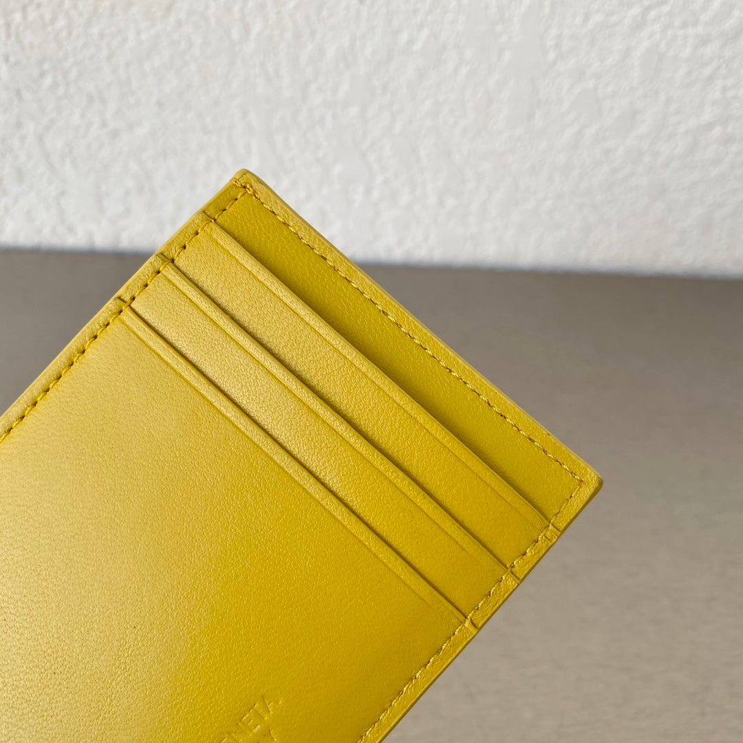 BV Cassette Credit Card Case