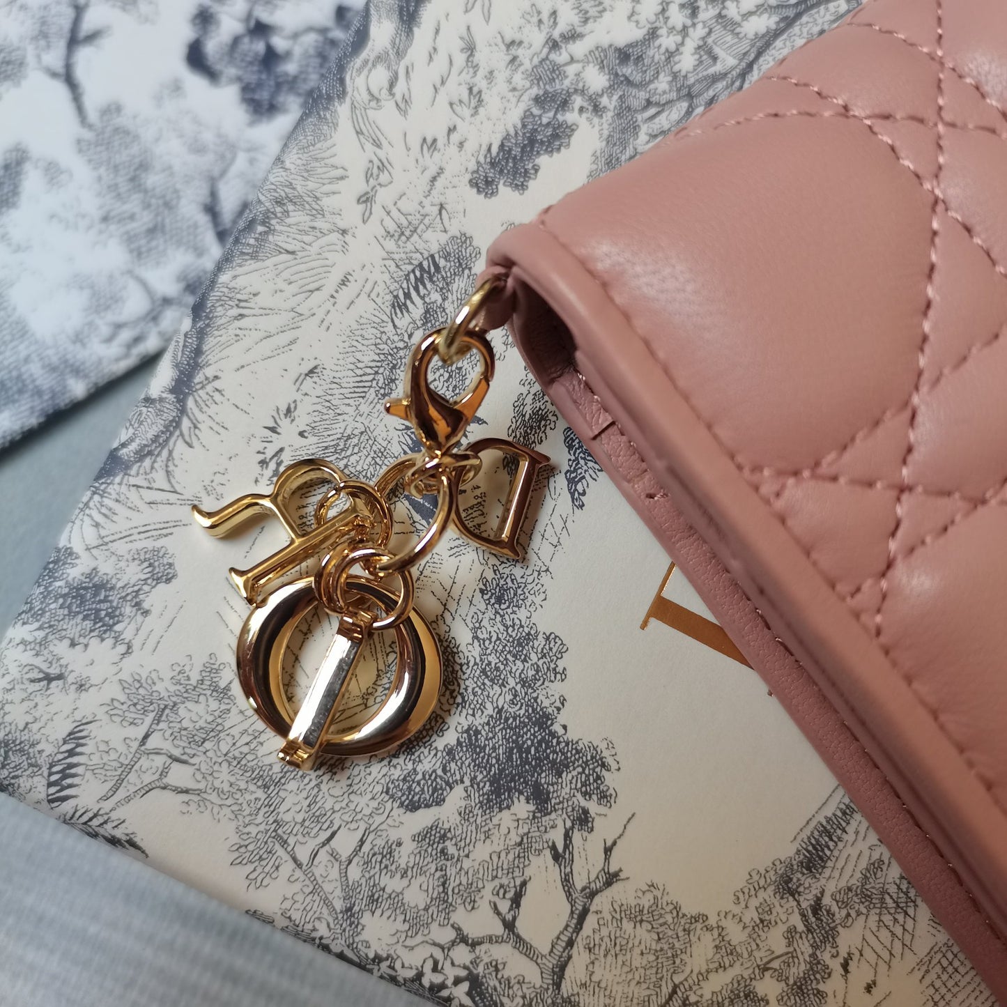 Dior Lady Dior Wallet