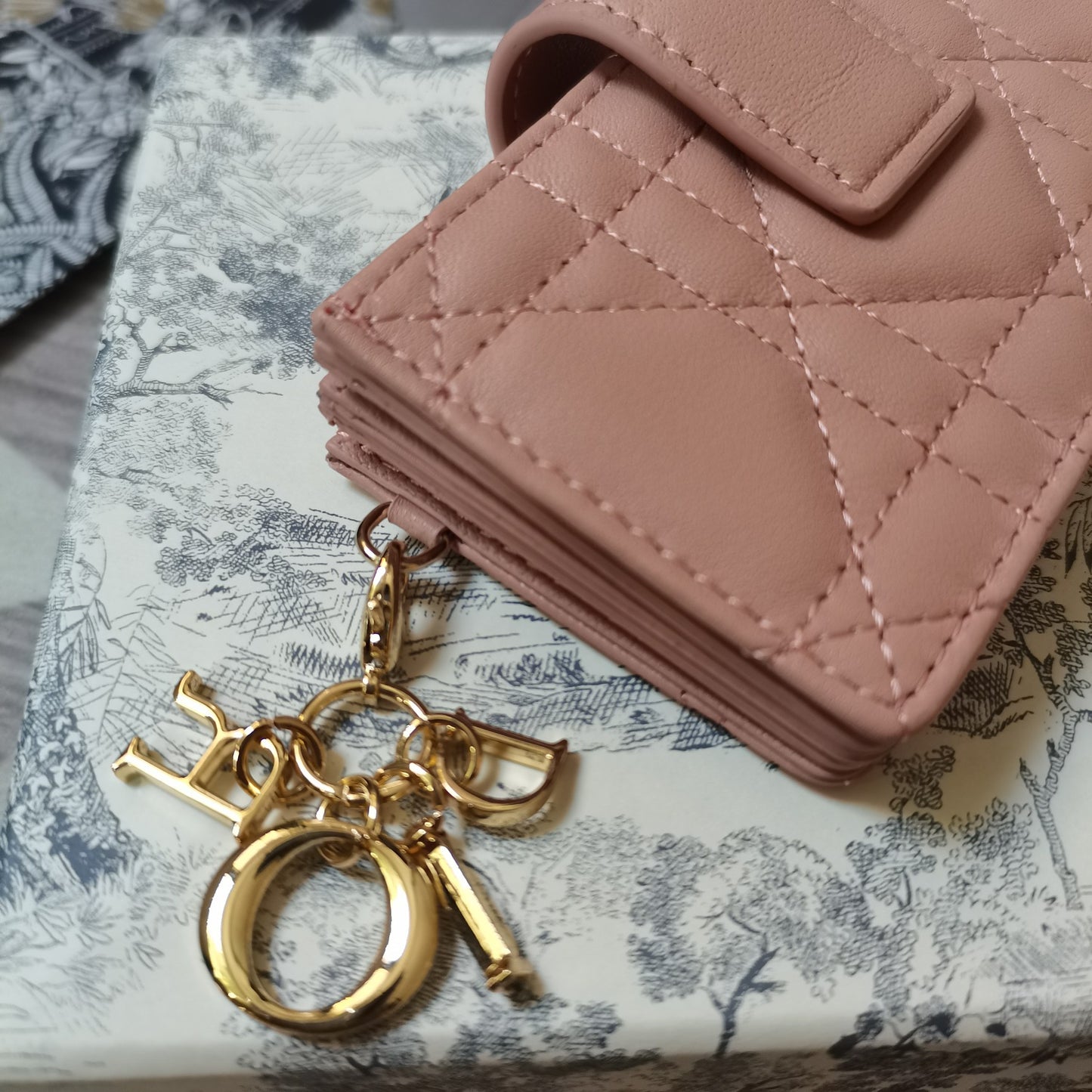 Dior Lady Dior Wallet