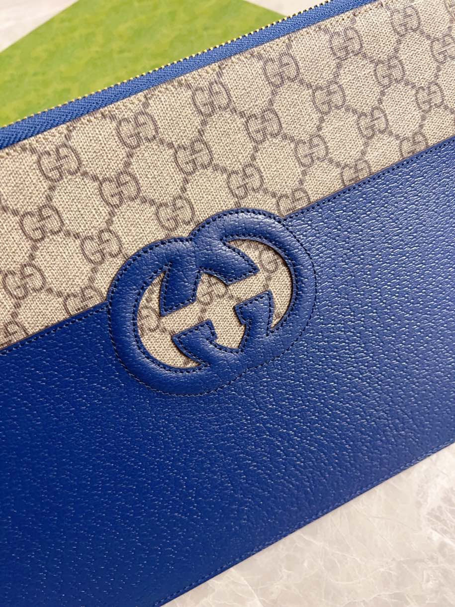 Gucci Pouch