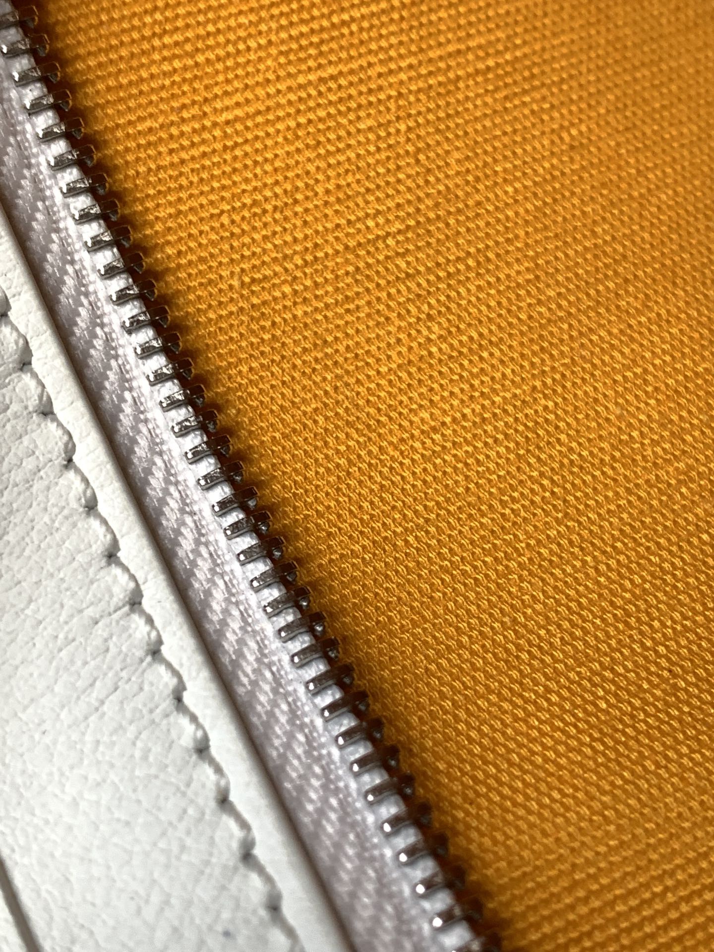 Goyard bag