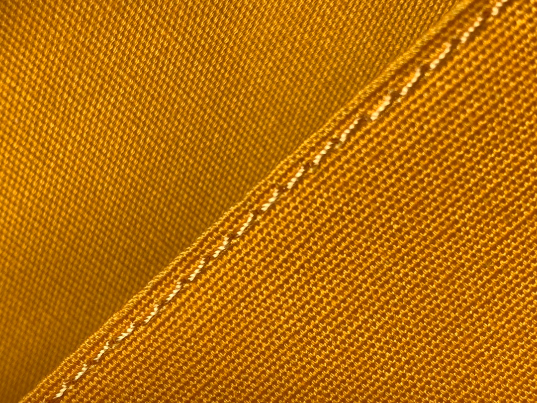 Goyard bag
