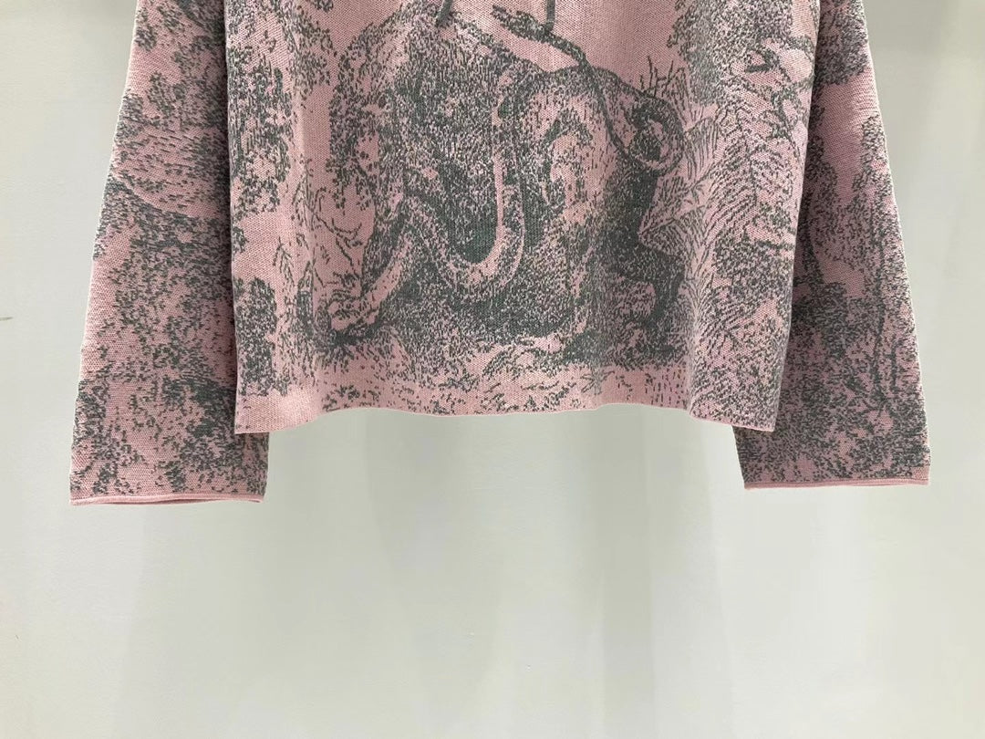 Dior Sweatshirt
