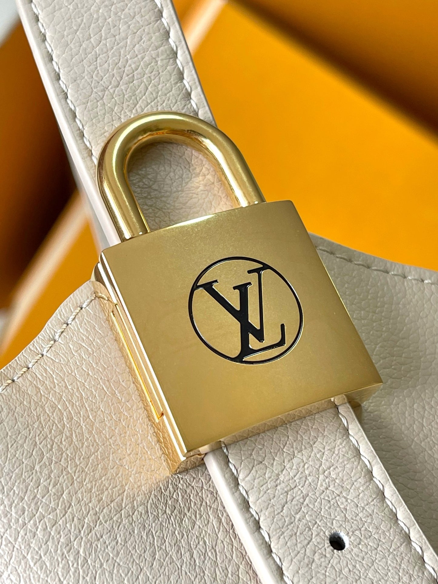 Louis Vuitton Handbag