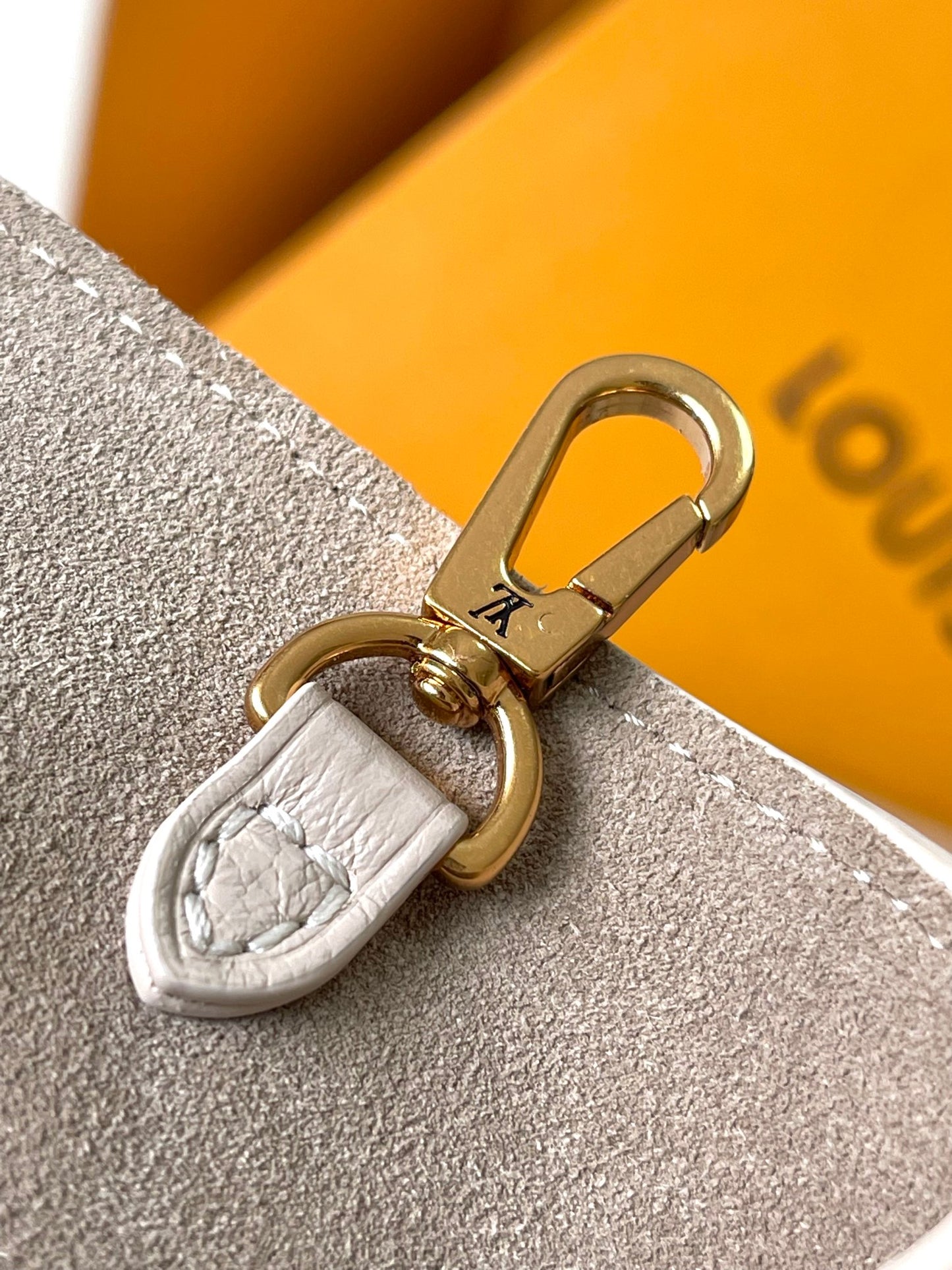 Louis Vuitton Handbag