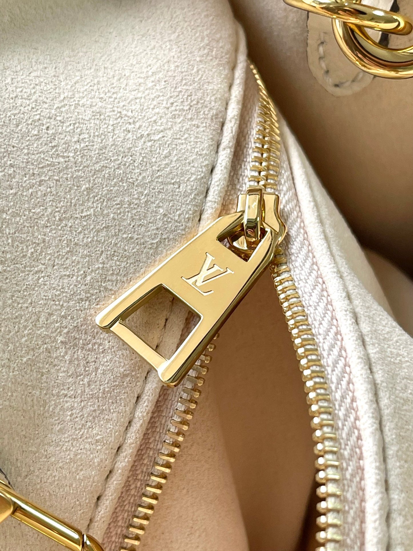 Louis Vuitton Handbag