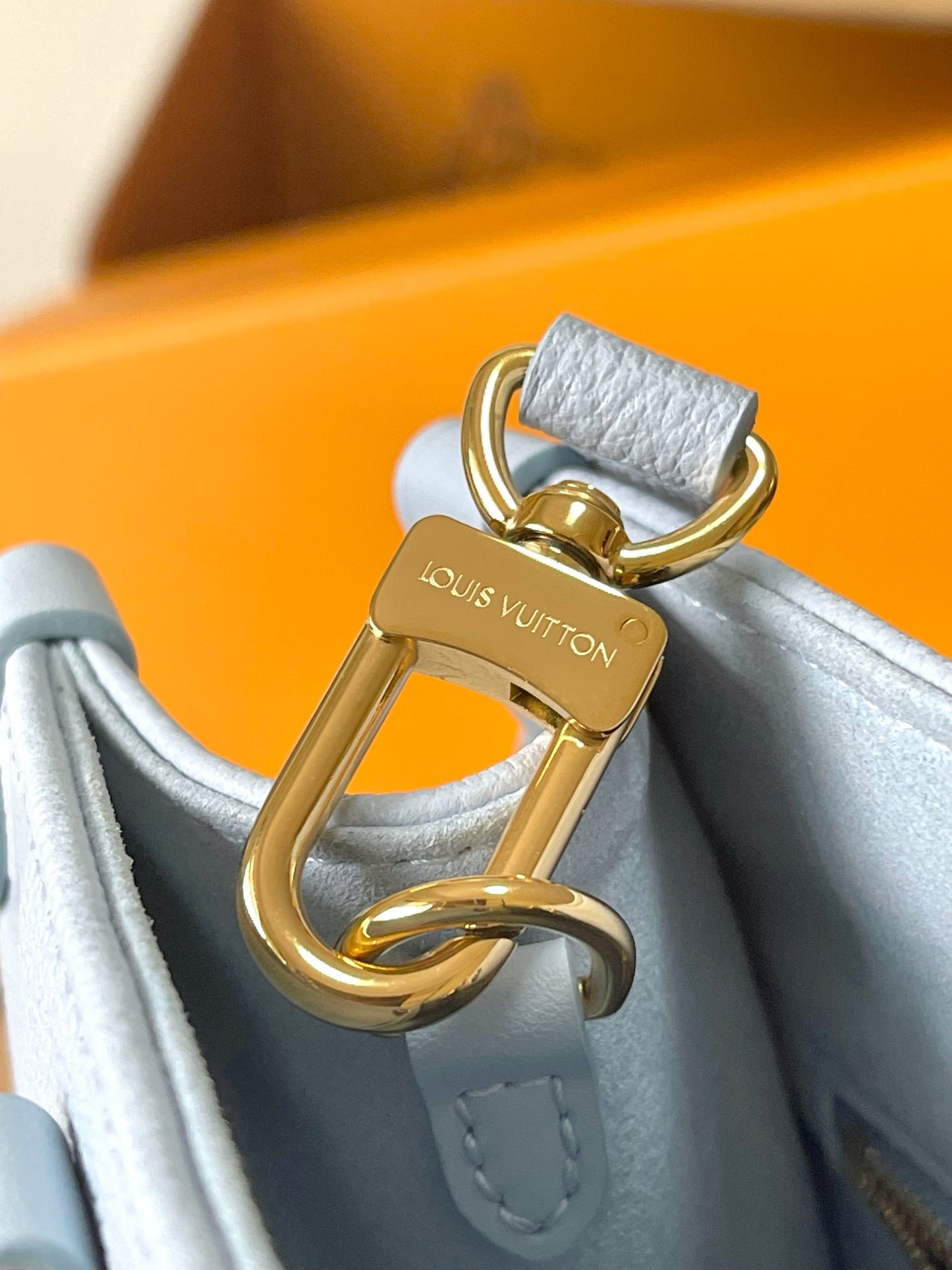 Louis Vuitton Handbag