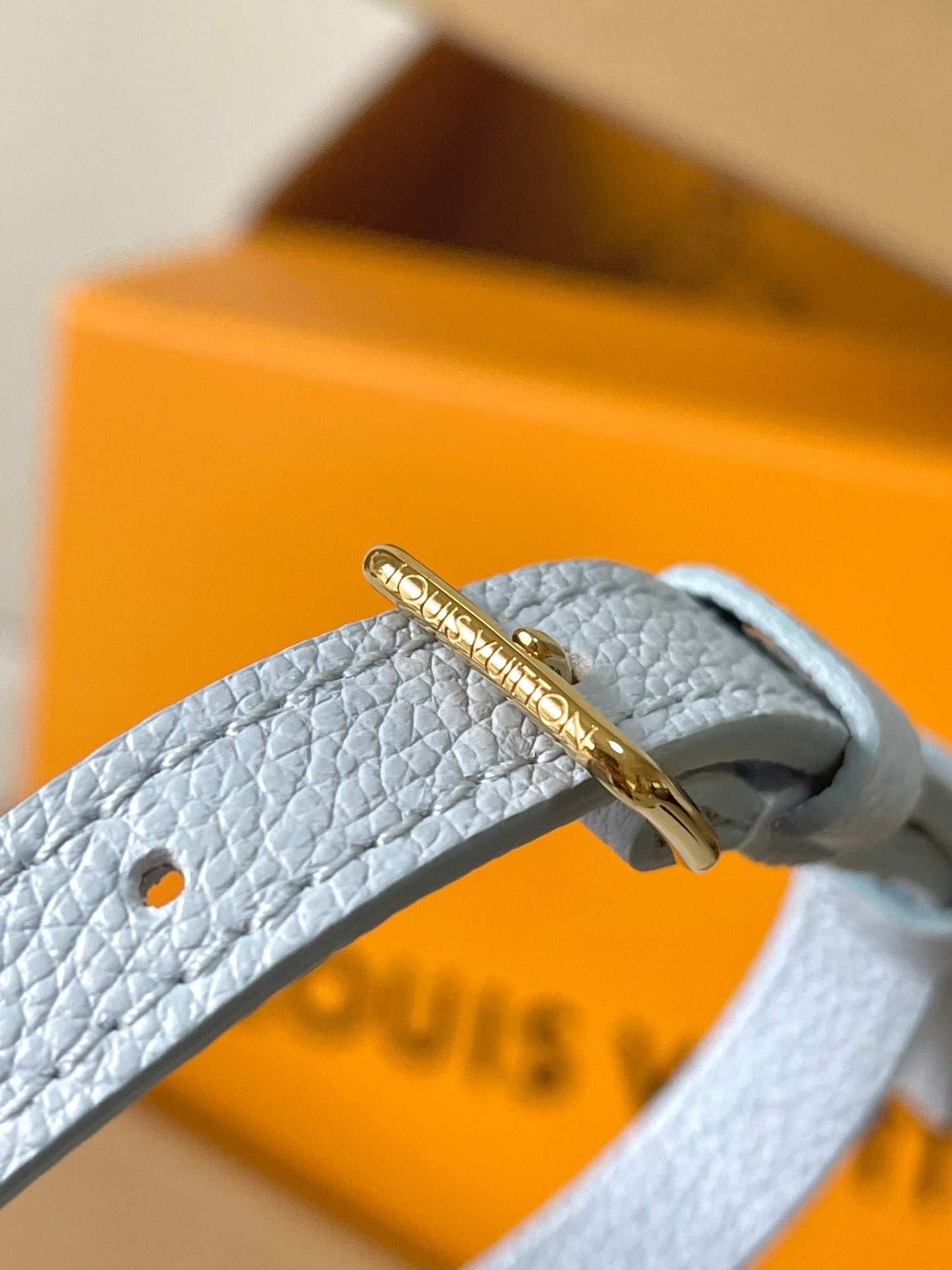 Louis Vuitton Handbag
