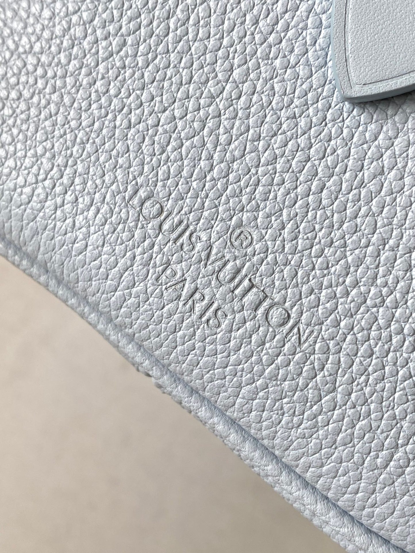 Louis Vuitton Handbag