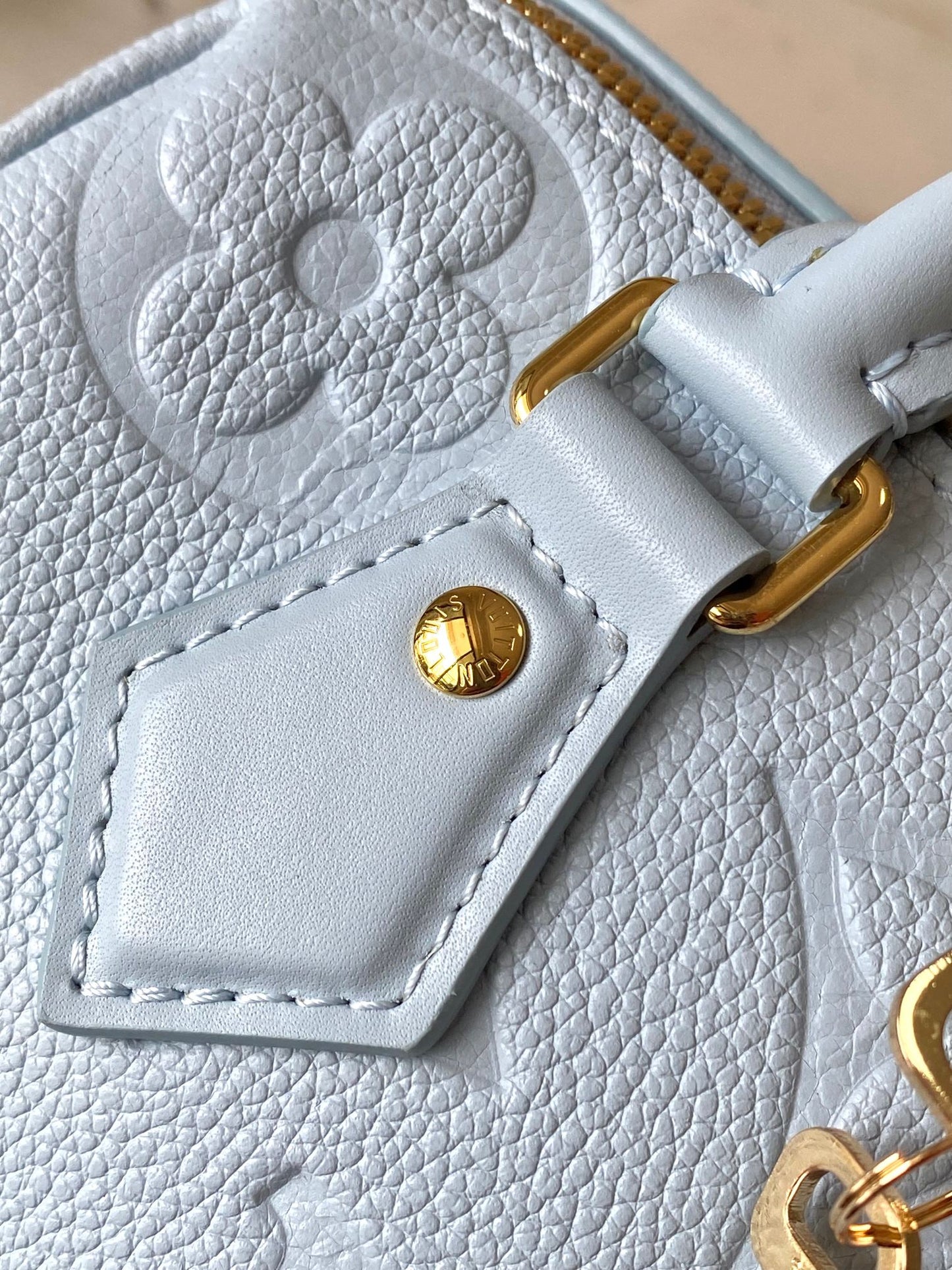 Louis Vuitton Handbag