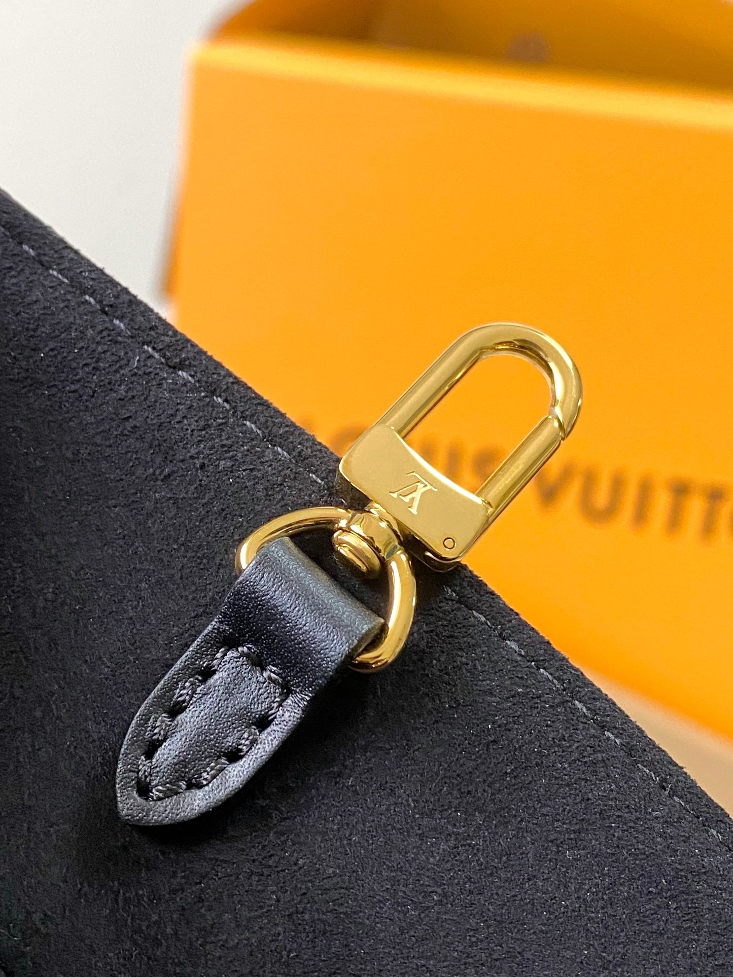 Louis Vuitton Handbag