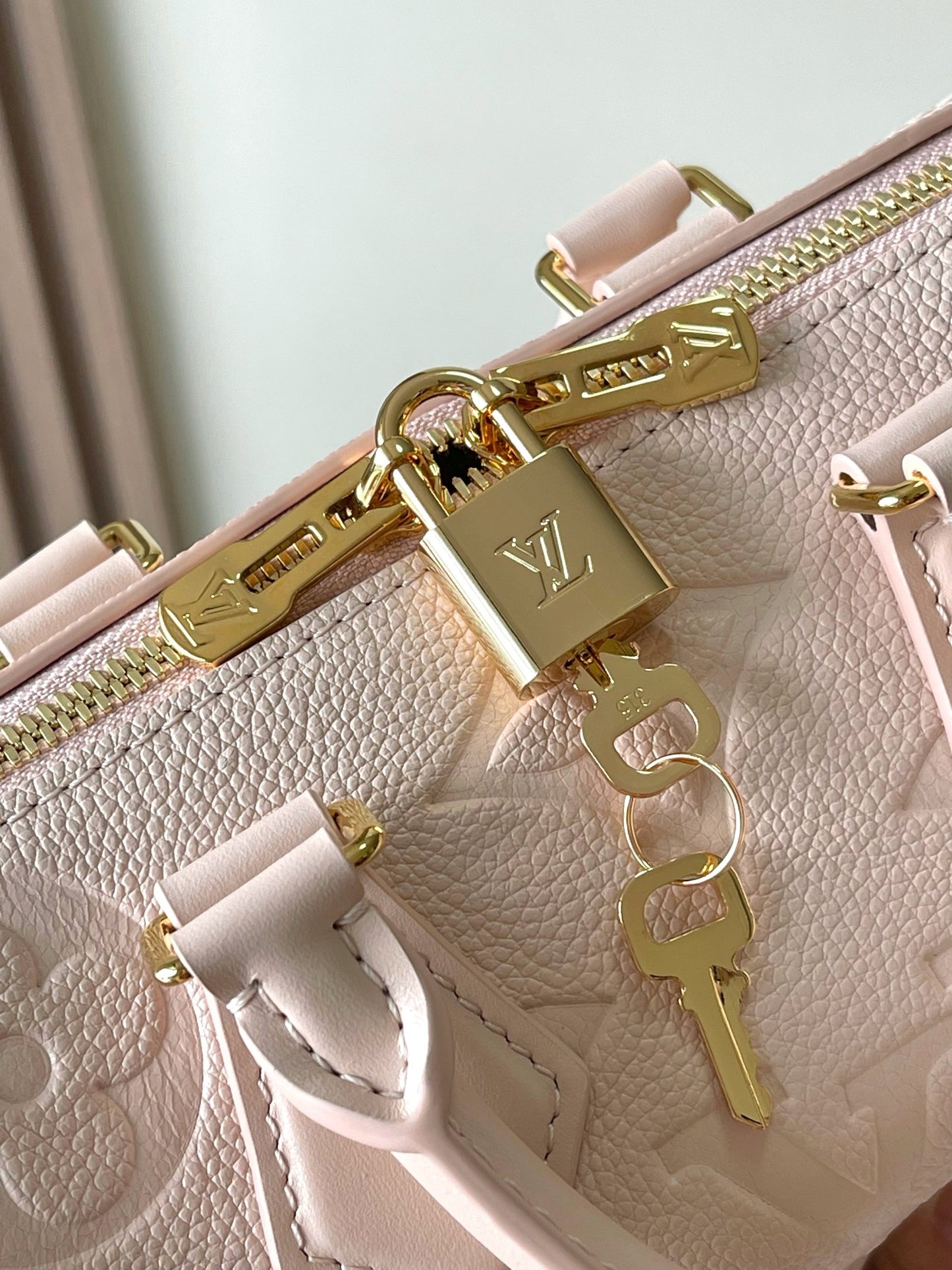 Louis Vuitton Handbag