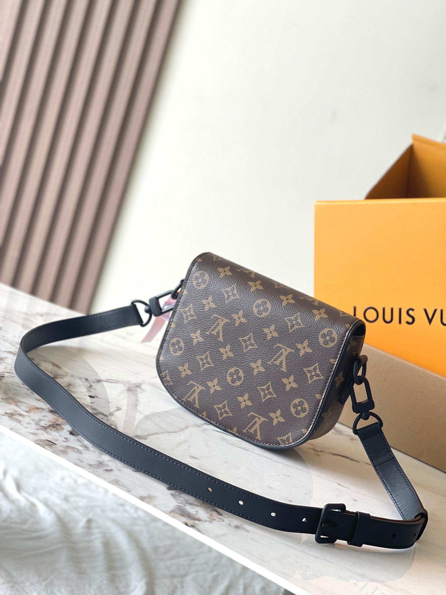 Louis Vuitton Handbag