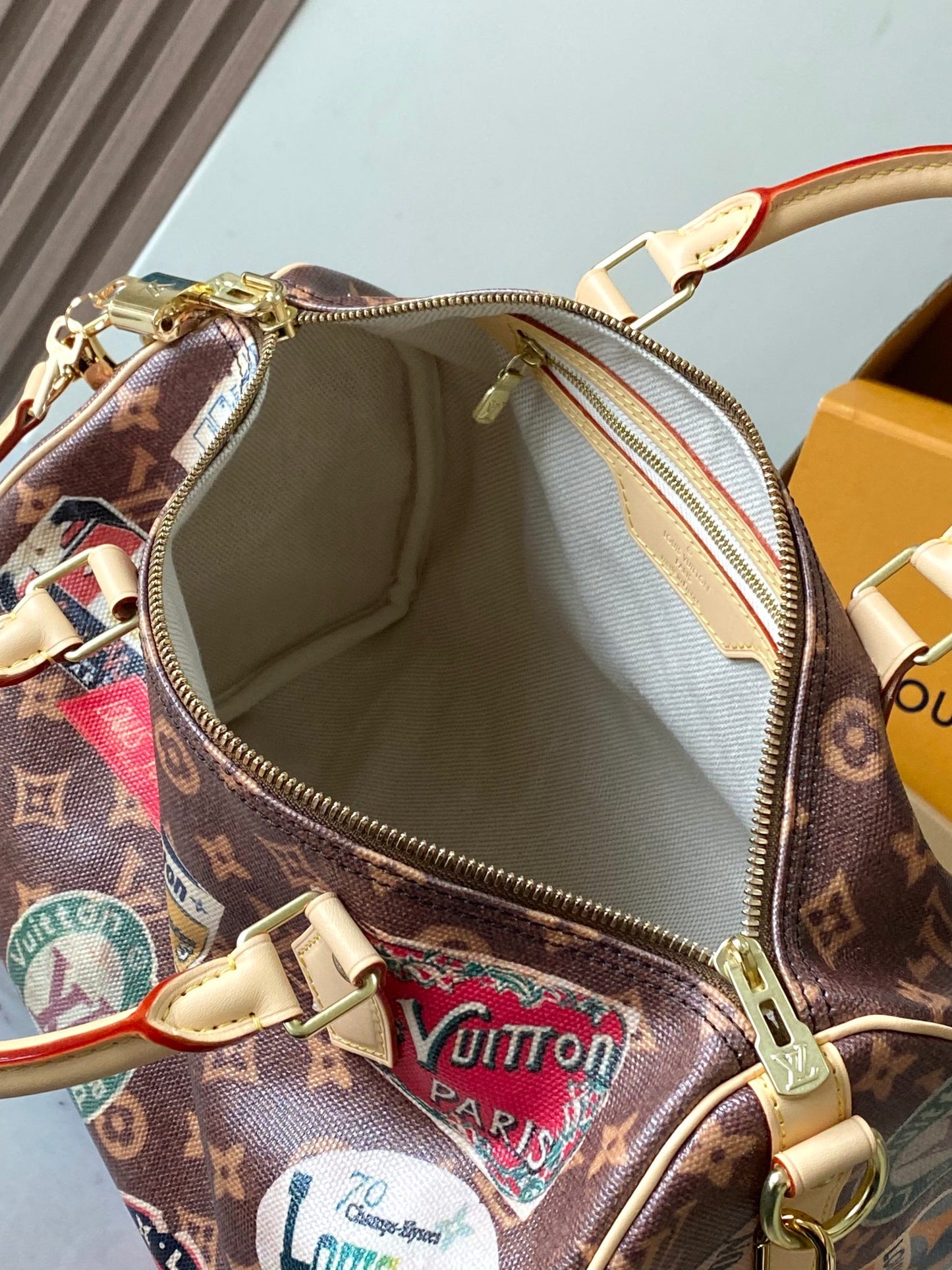 Louis Vuitton Handbag