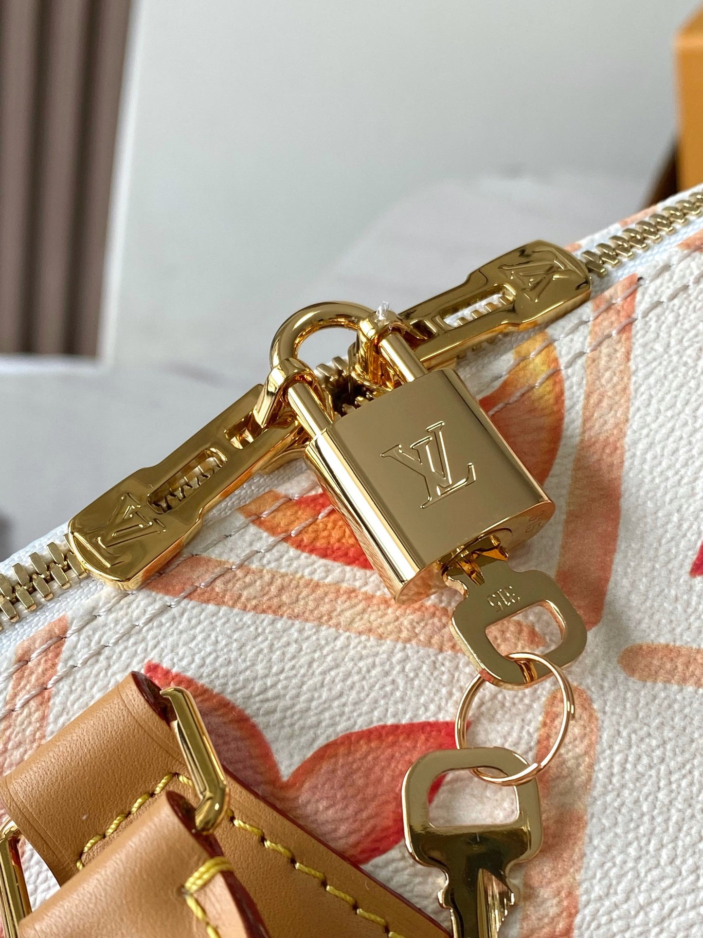 Louis Vuitton Handbag