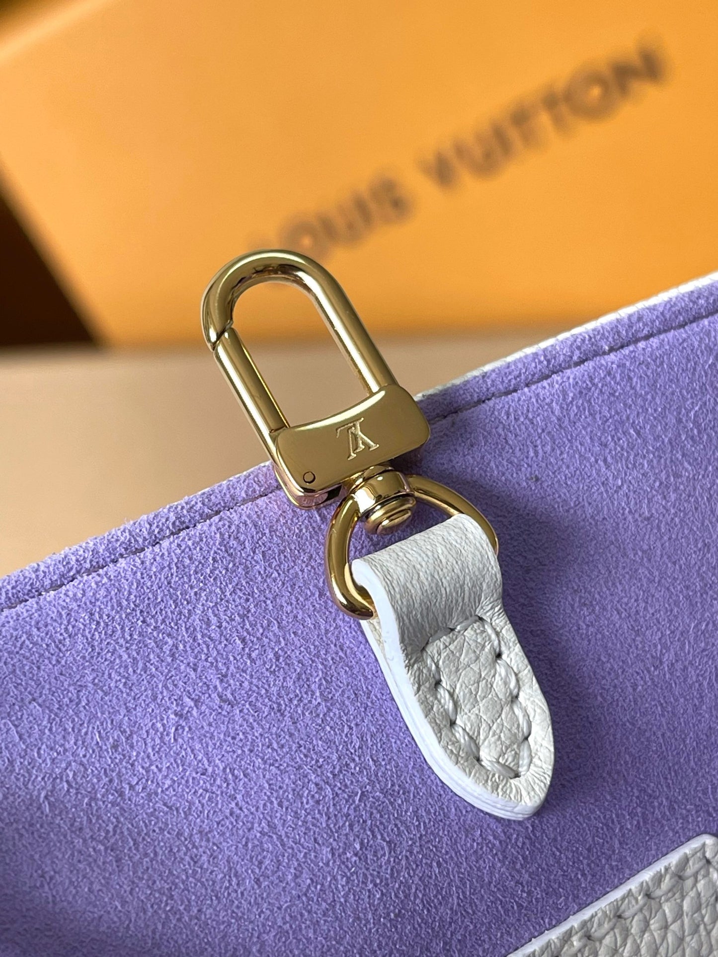 Louis Vuitton Handbag