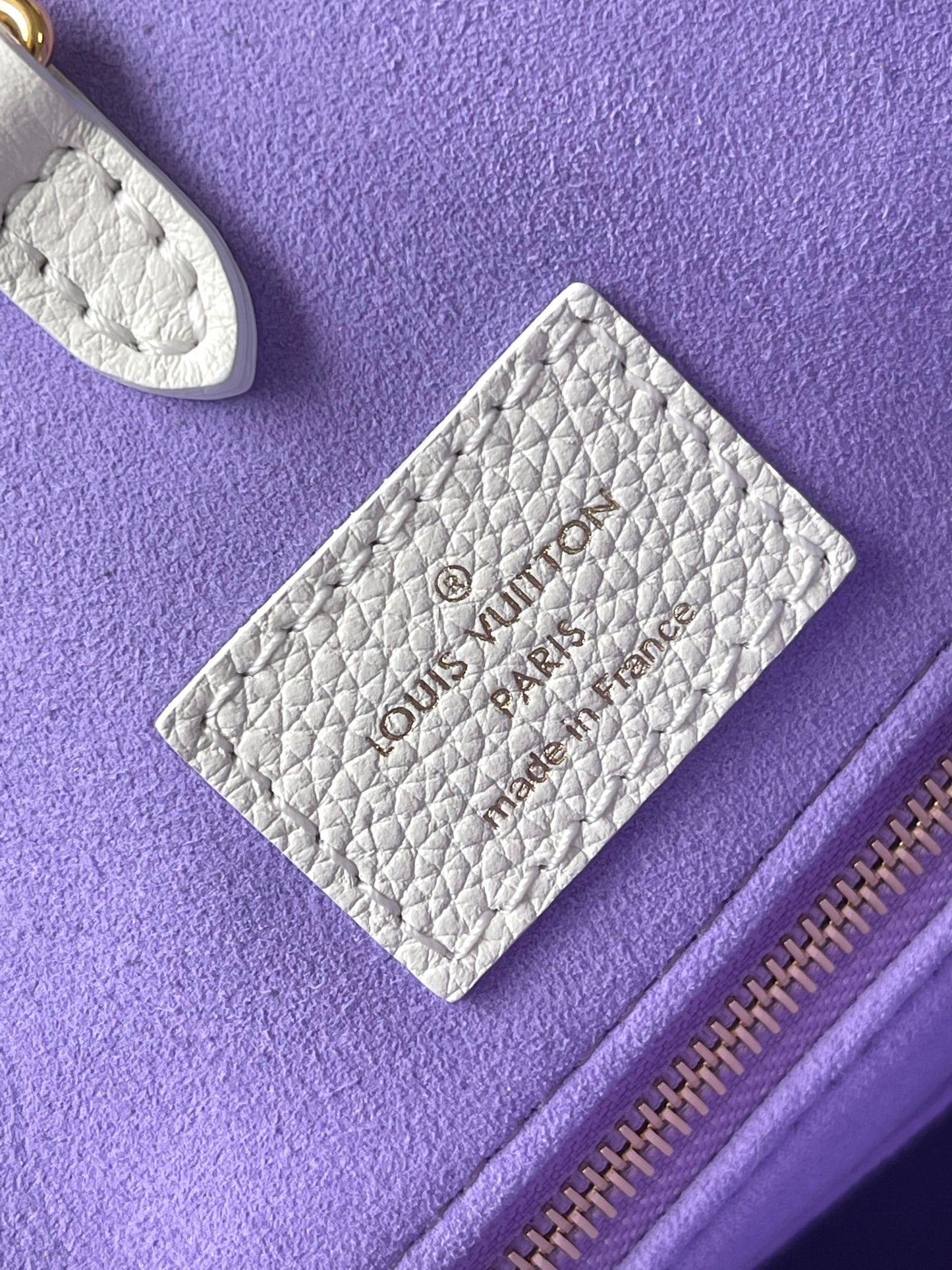 Louis Vuitton Handbag