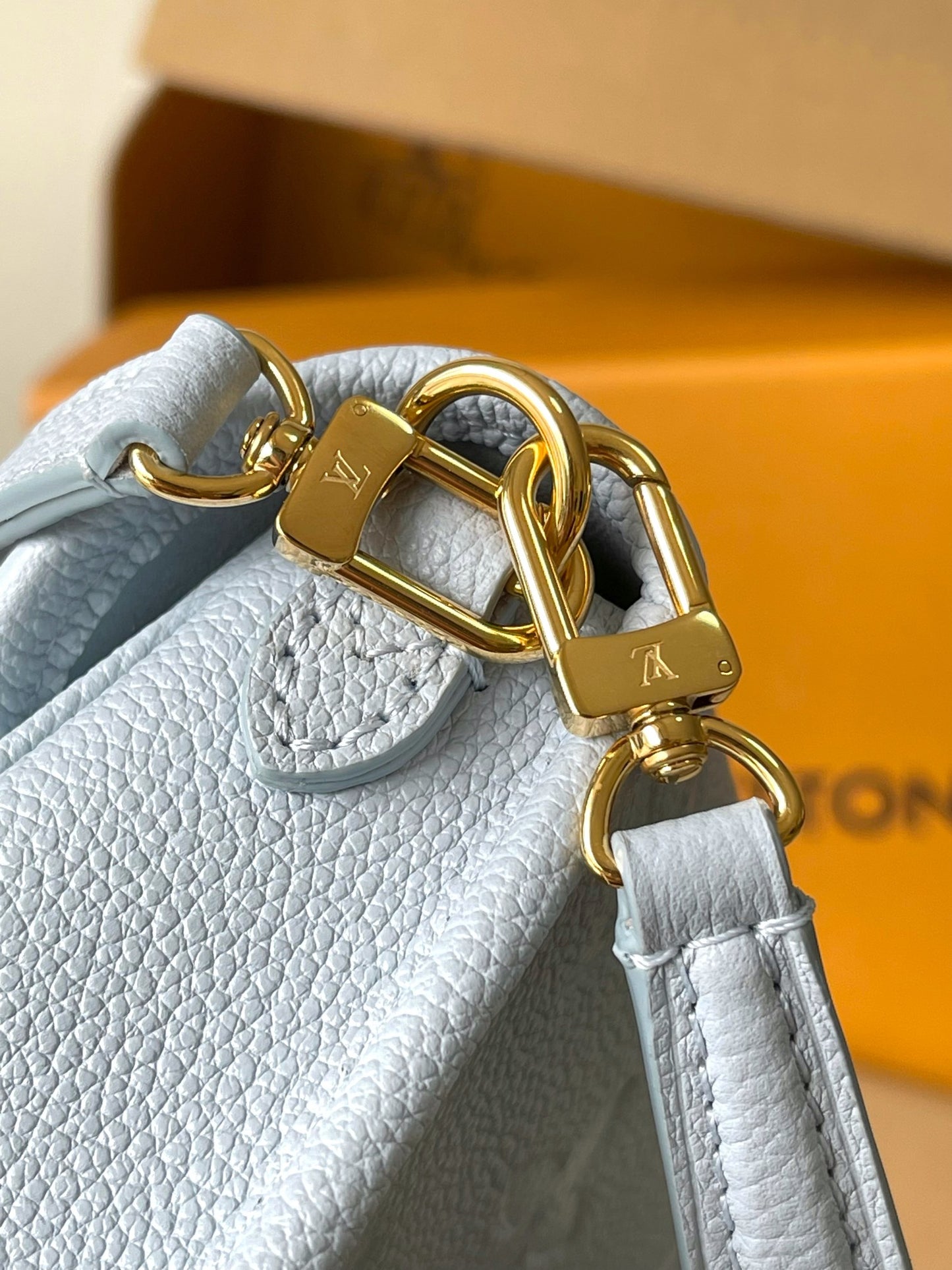 Louis Vuitton Handbag