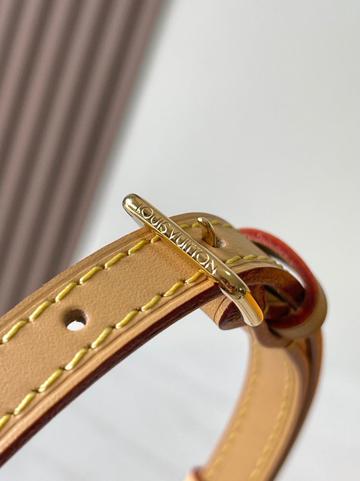 Louis Vuitton Handbag