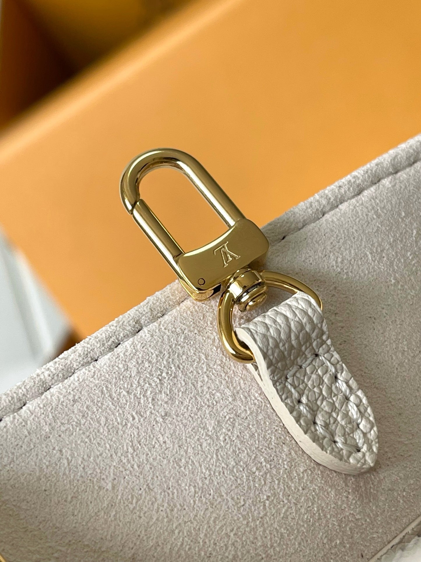 Louis Vuitton Handbag