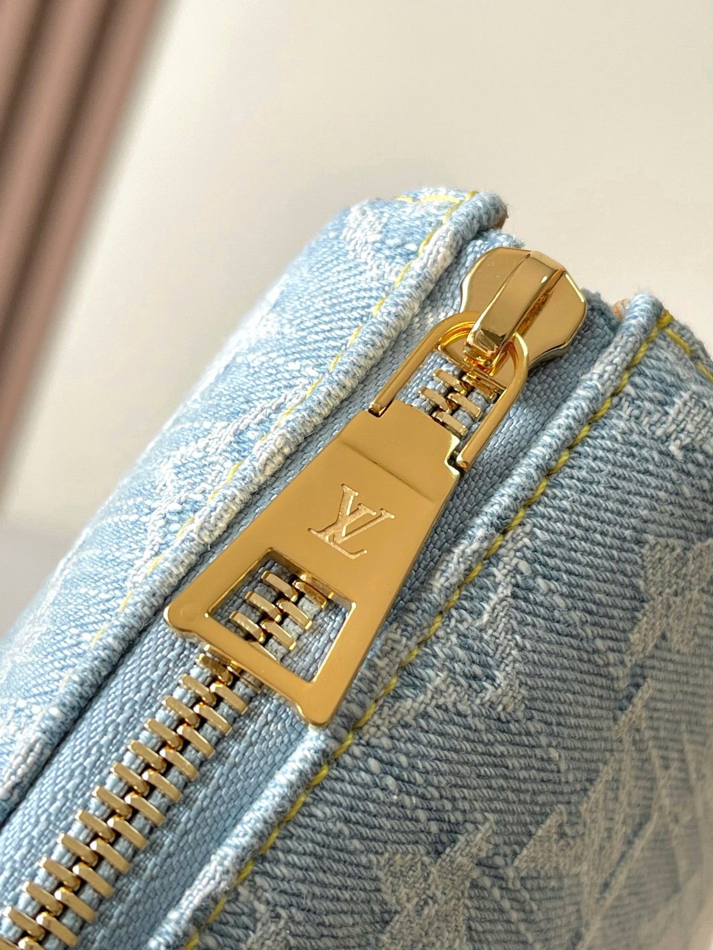 Louis Vuitton Handbag