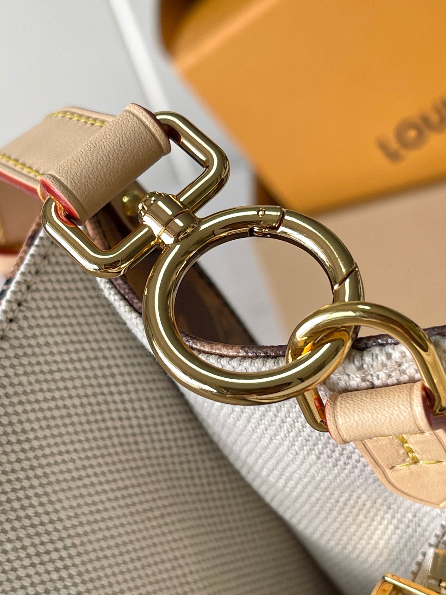 Louis Vuitton Handbag