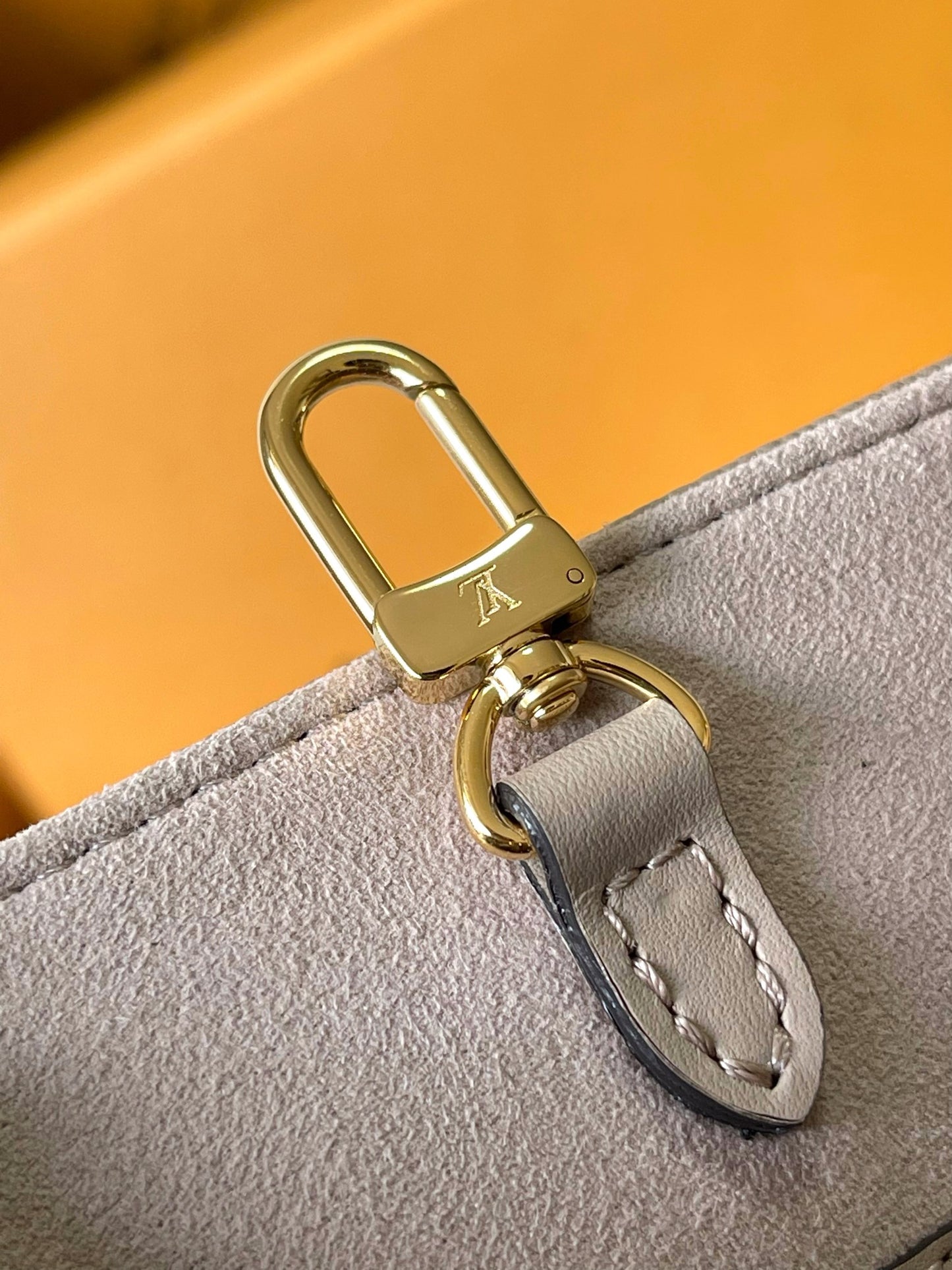 Louis Vuitton Handbag