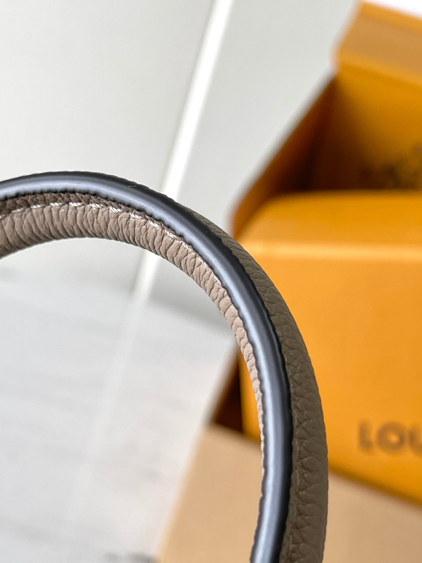 Louis Vuitton Handbag