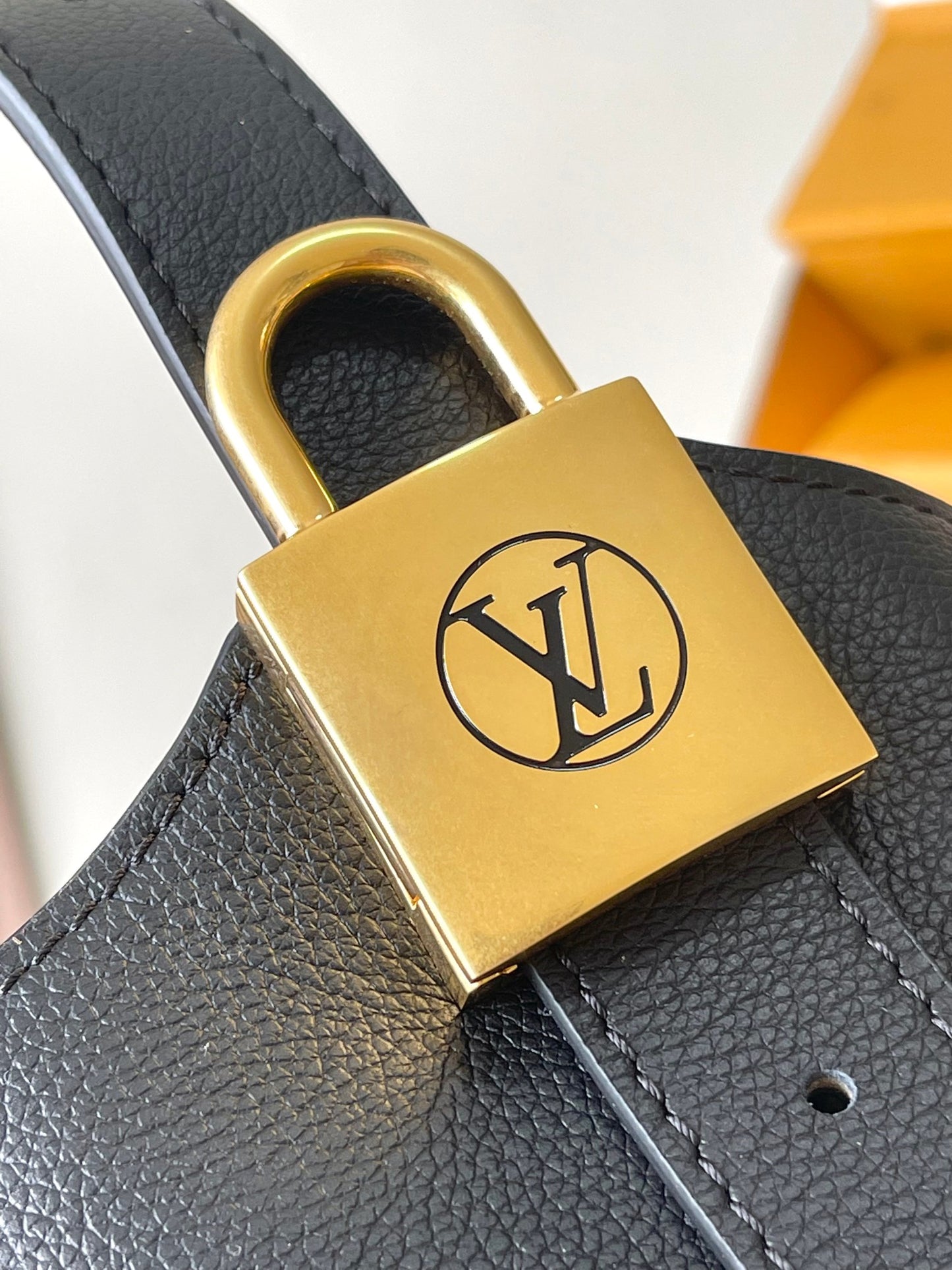 Louis Vuitton Handbag