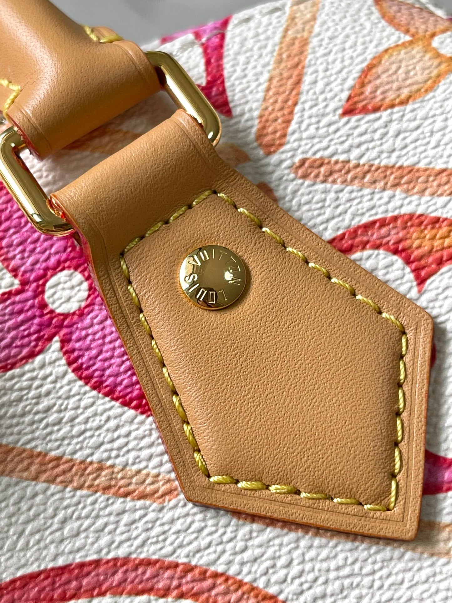 Louis Vuitton Handbag