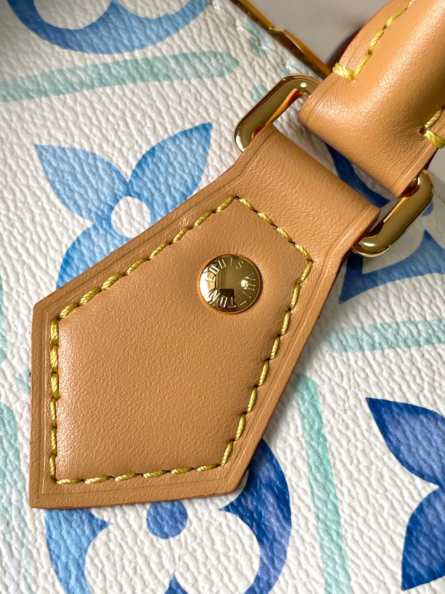 Louis Vuitton Handbag