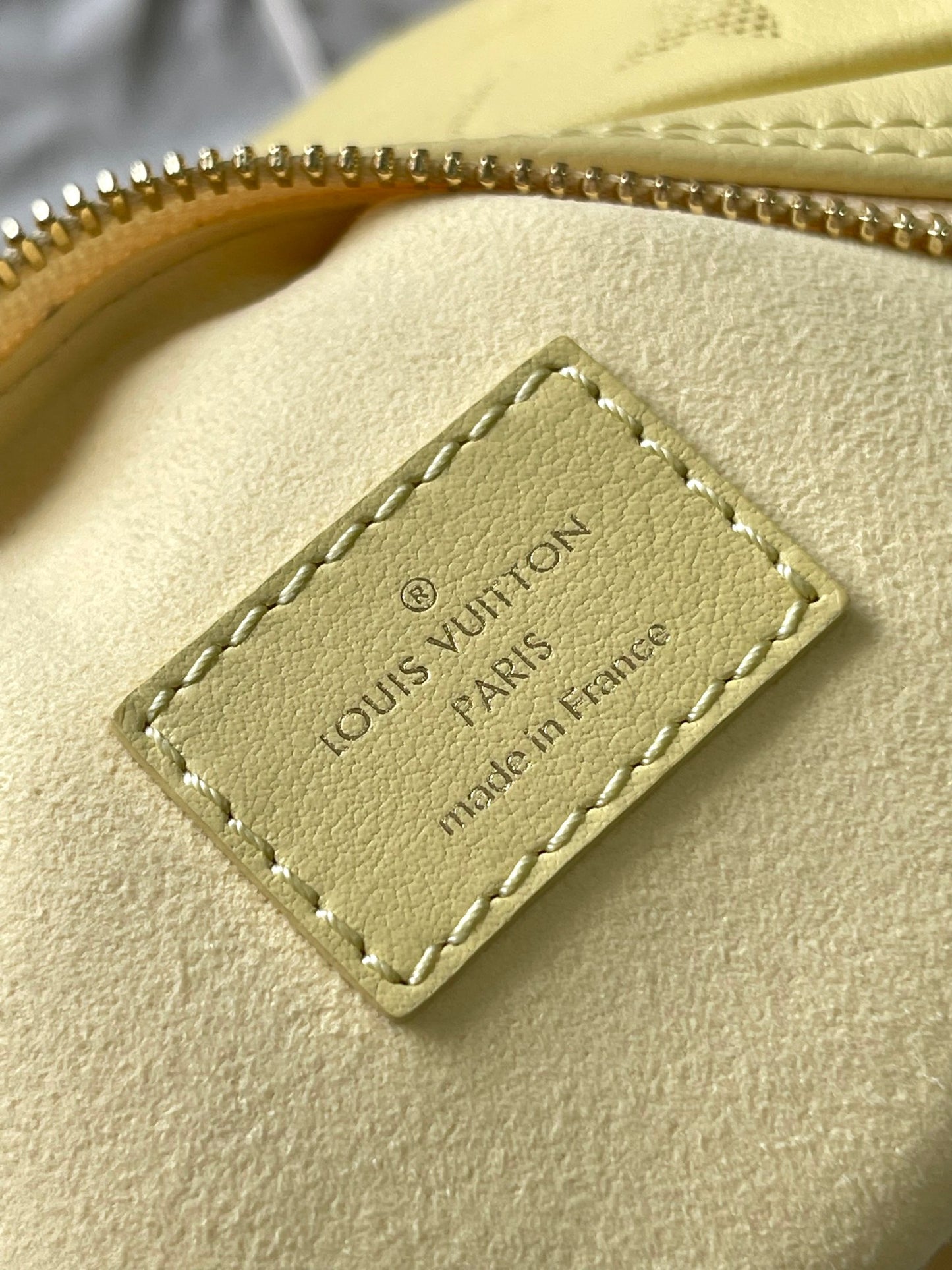 Louis Vuitton Handbag