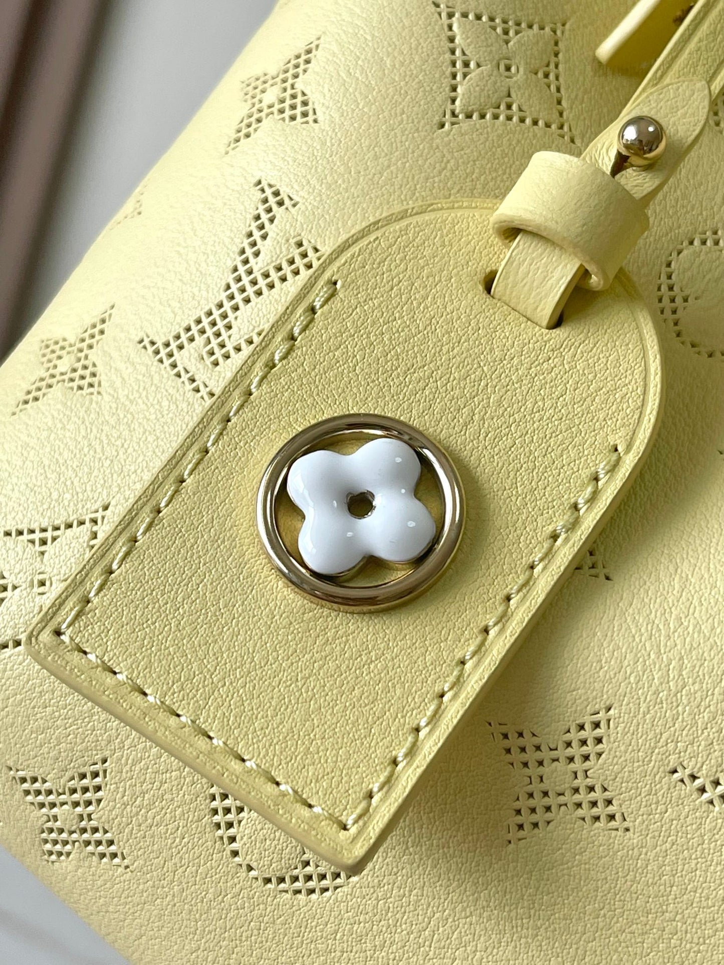 Louis Vuitton Handbag