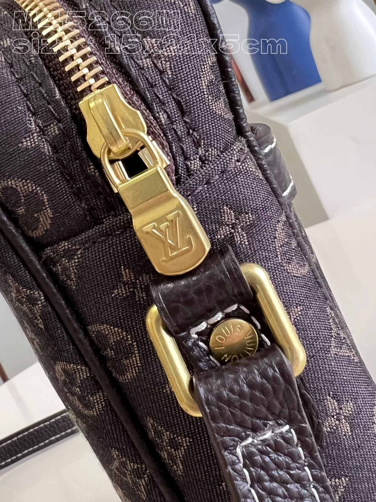 Louis Vuitton Bag