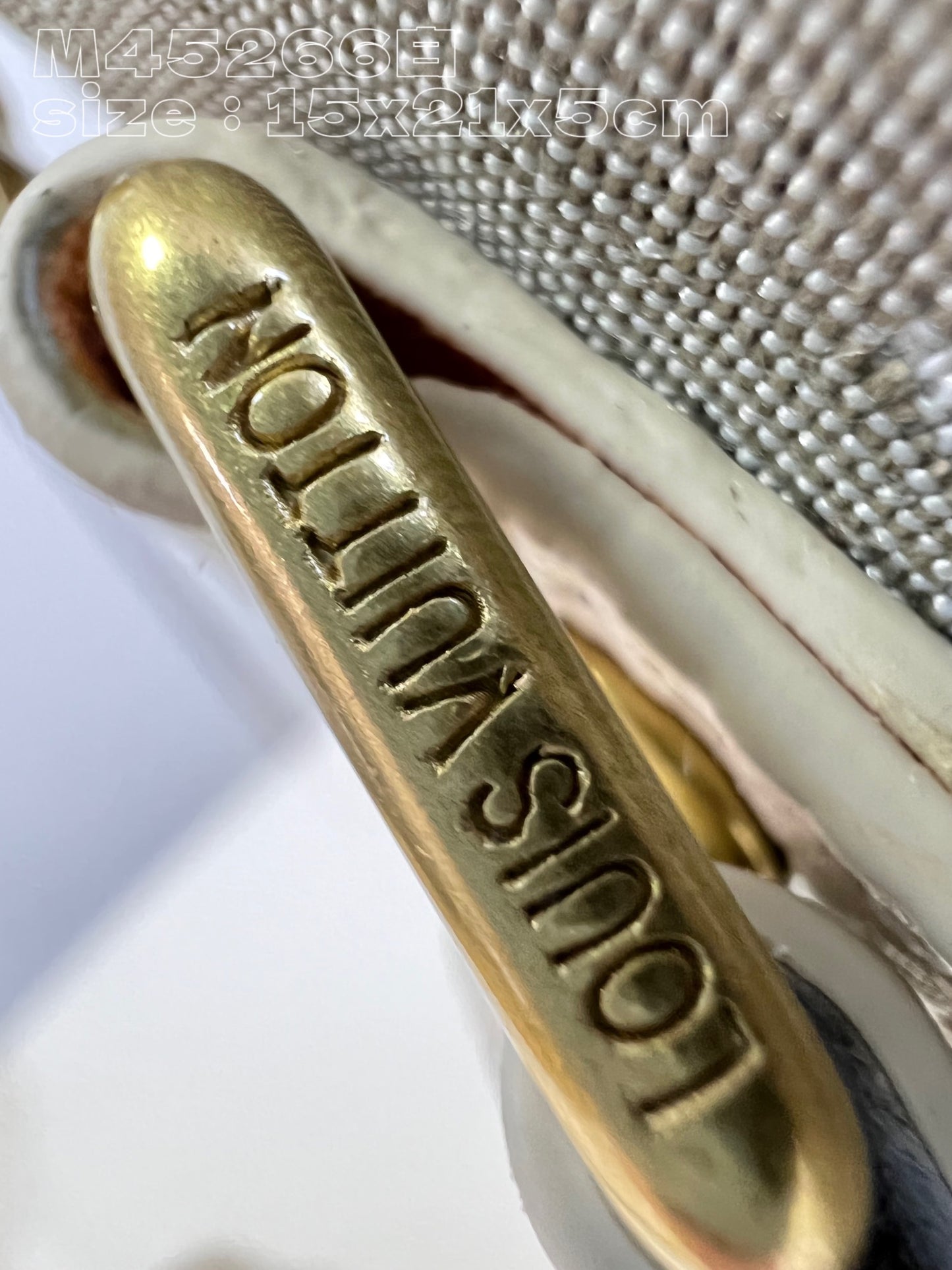 Louis Vuitton Bag