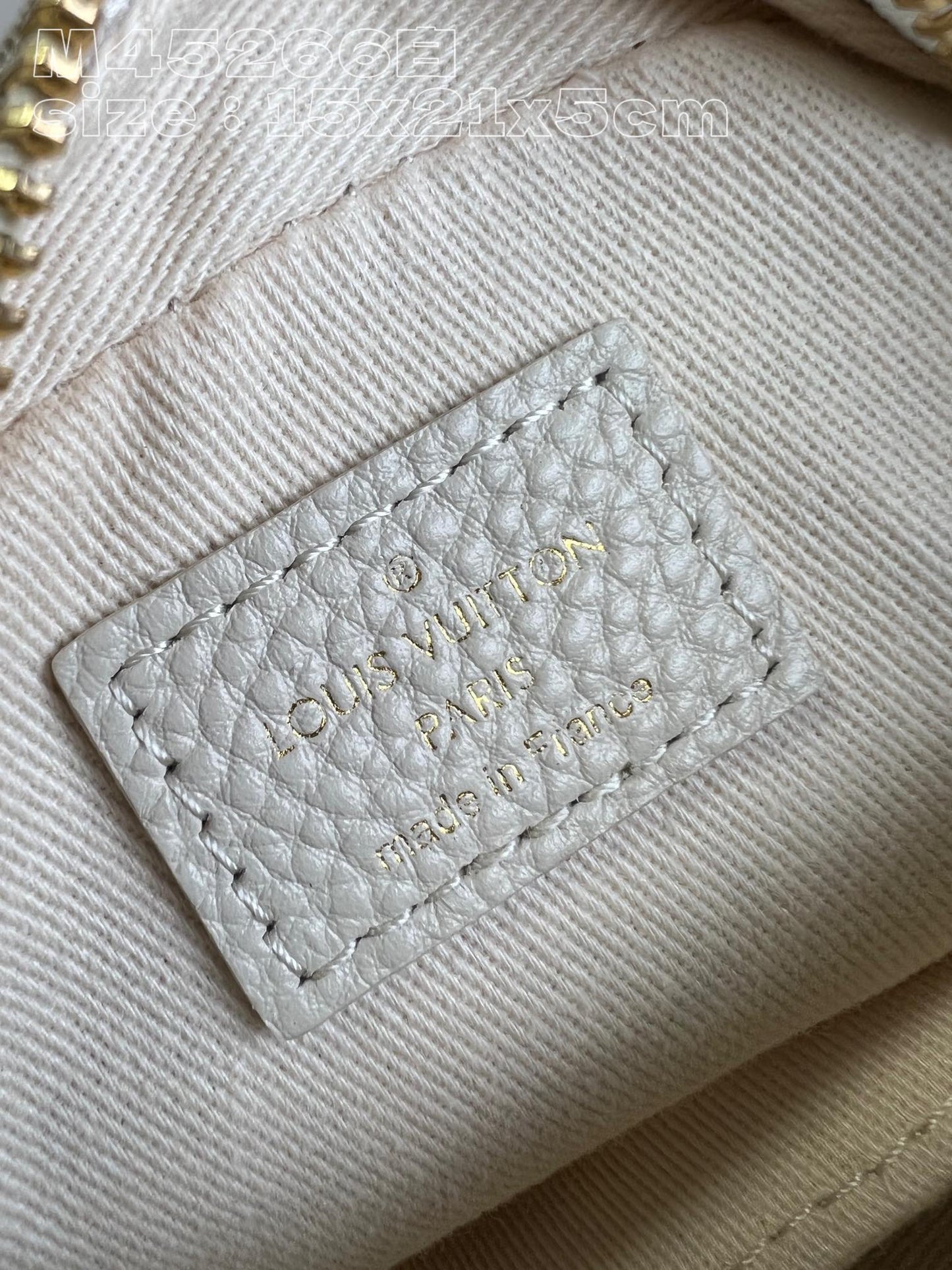 Louis Vuitton Bag
