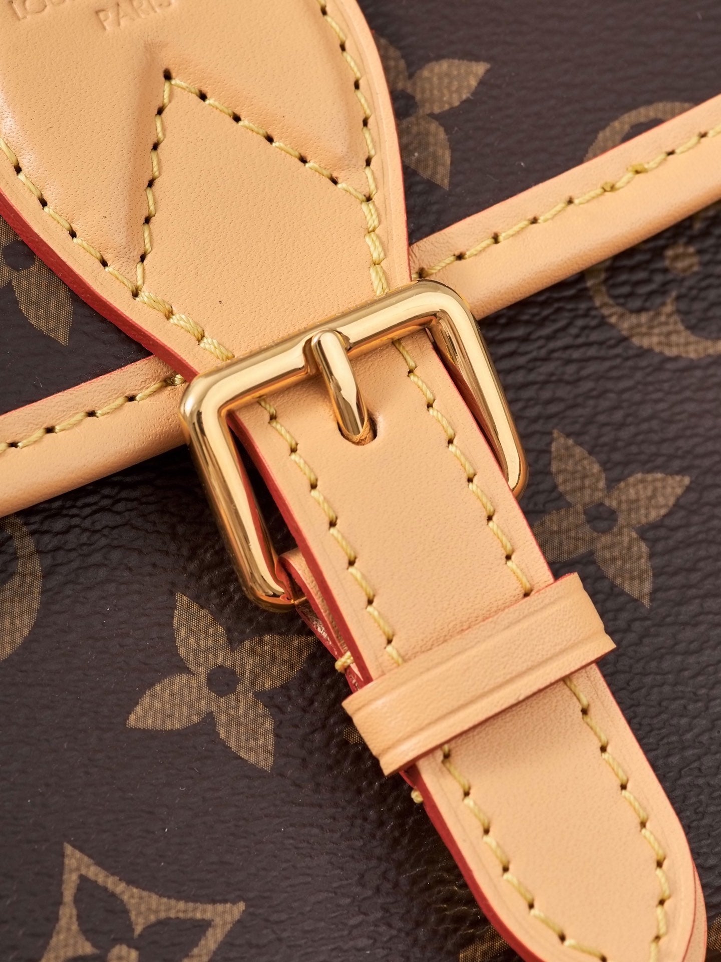 Louis Vuitton Handbag