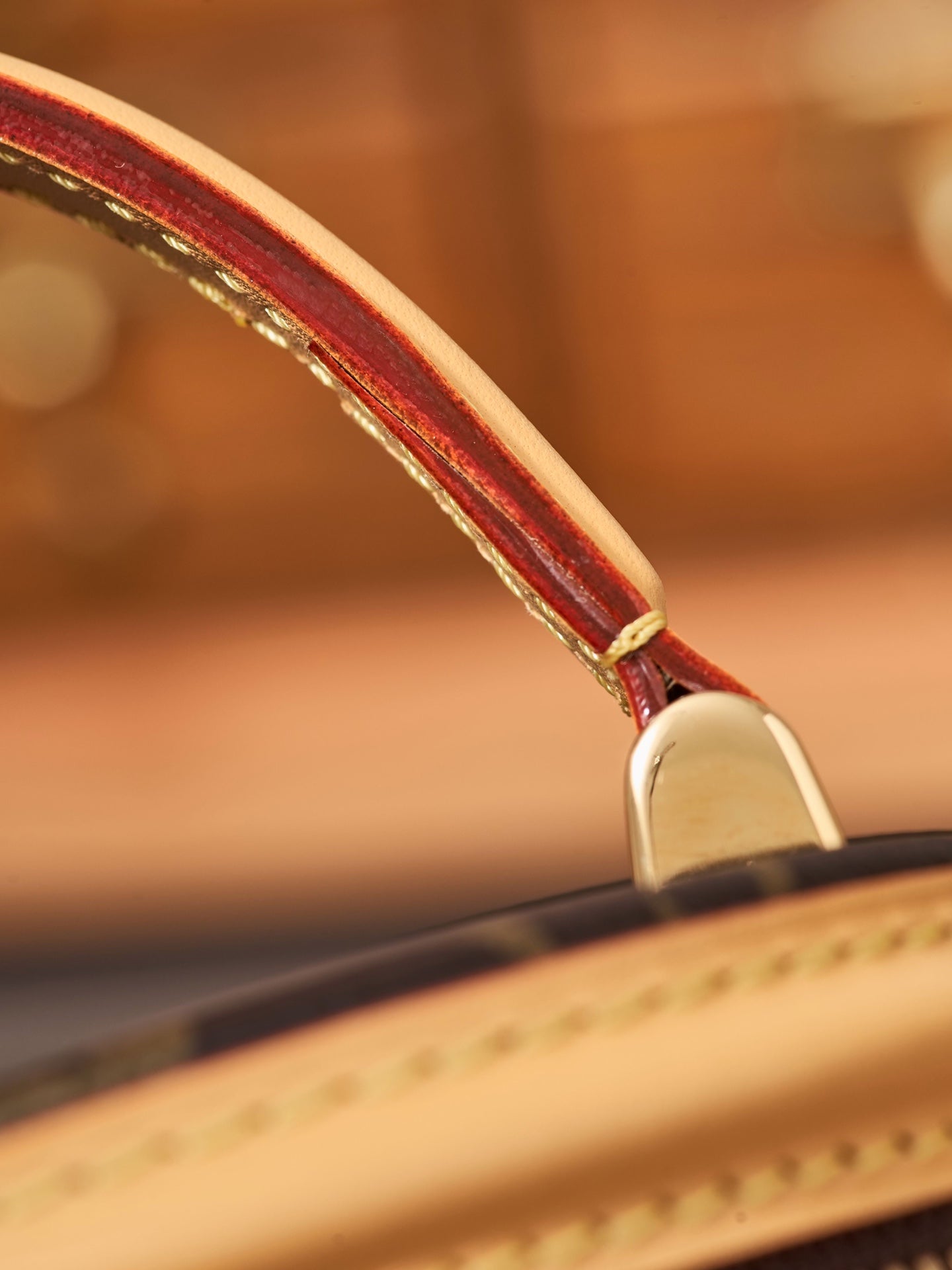 Louis Vuitton Handbag