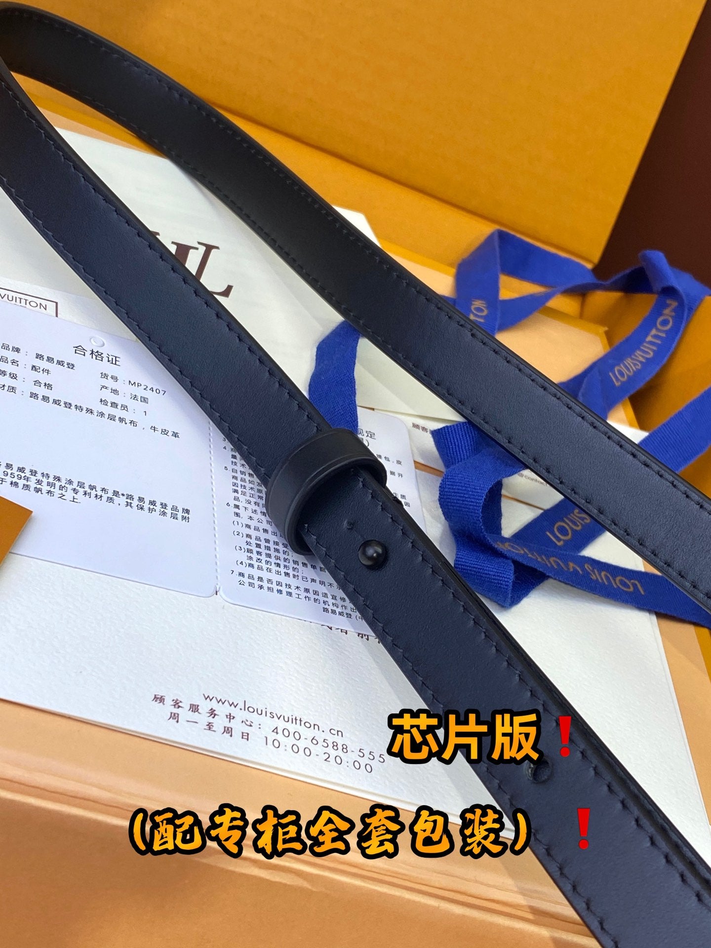 Louis Vuitton Handbag