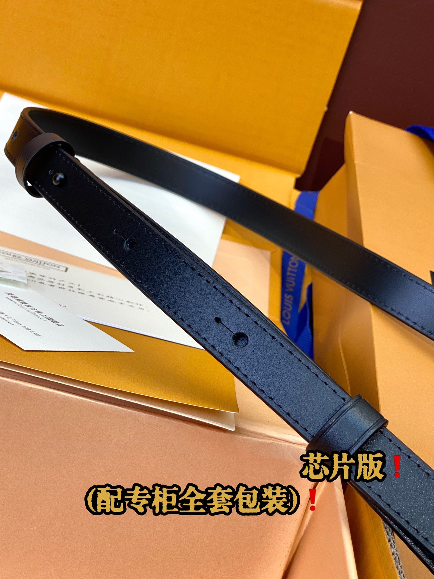 Louis Vuitton Handbag