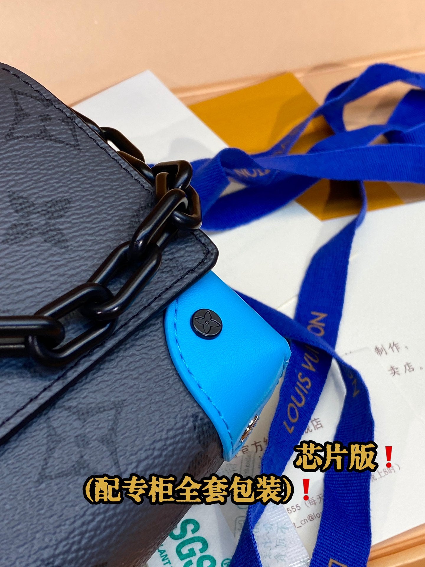 Louis Vuitton Handbag