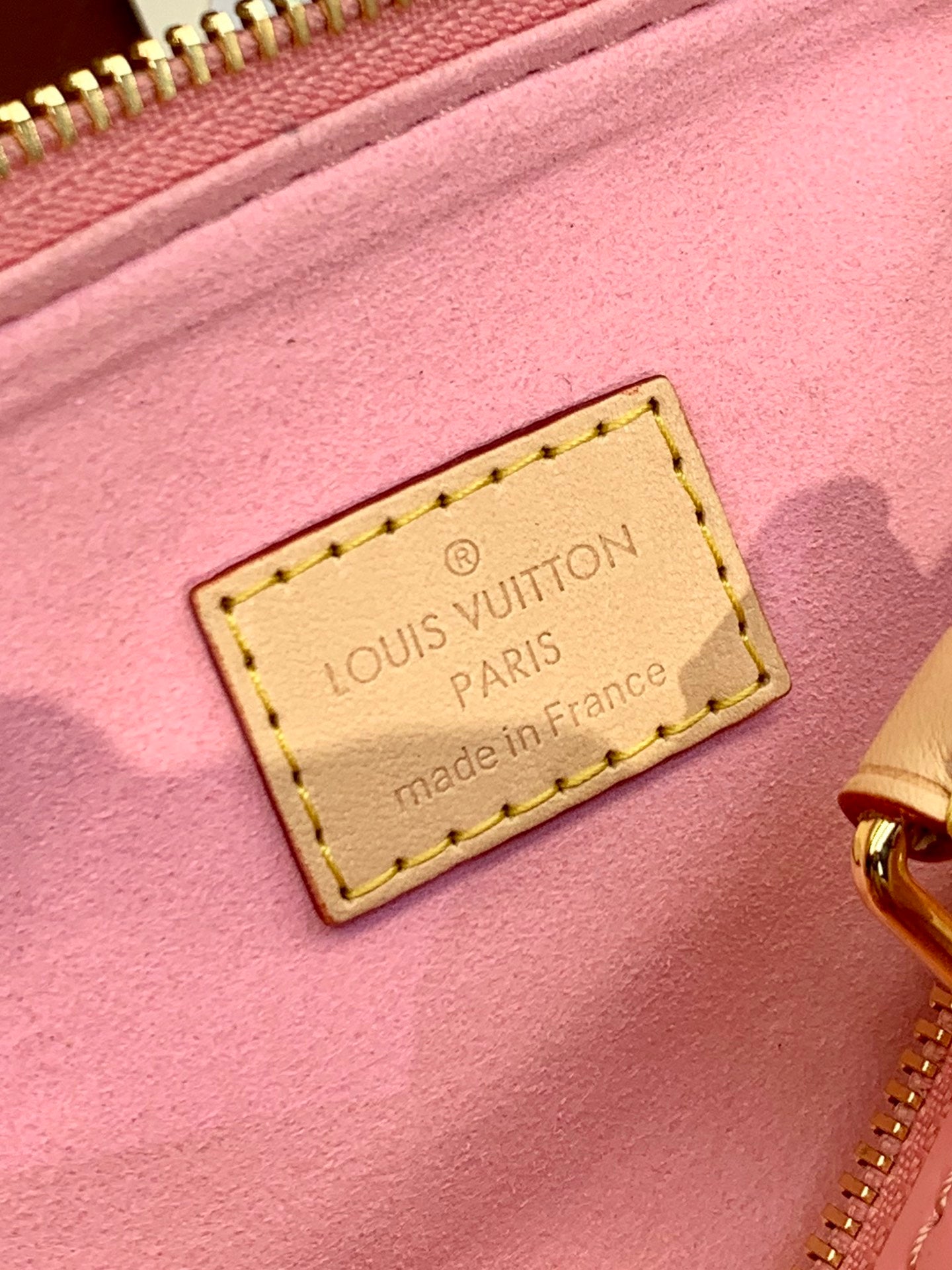 Louis Vuitton Handbag