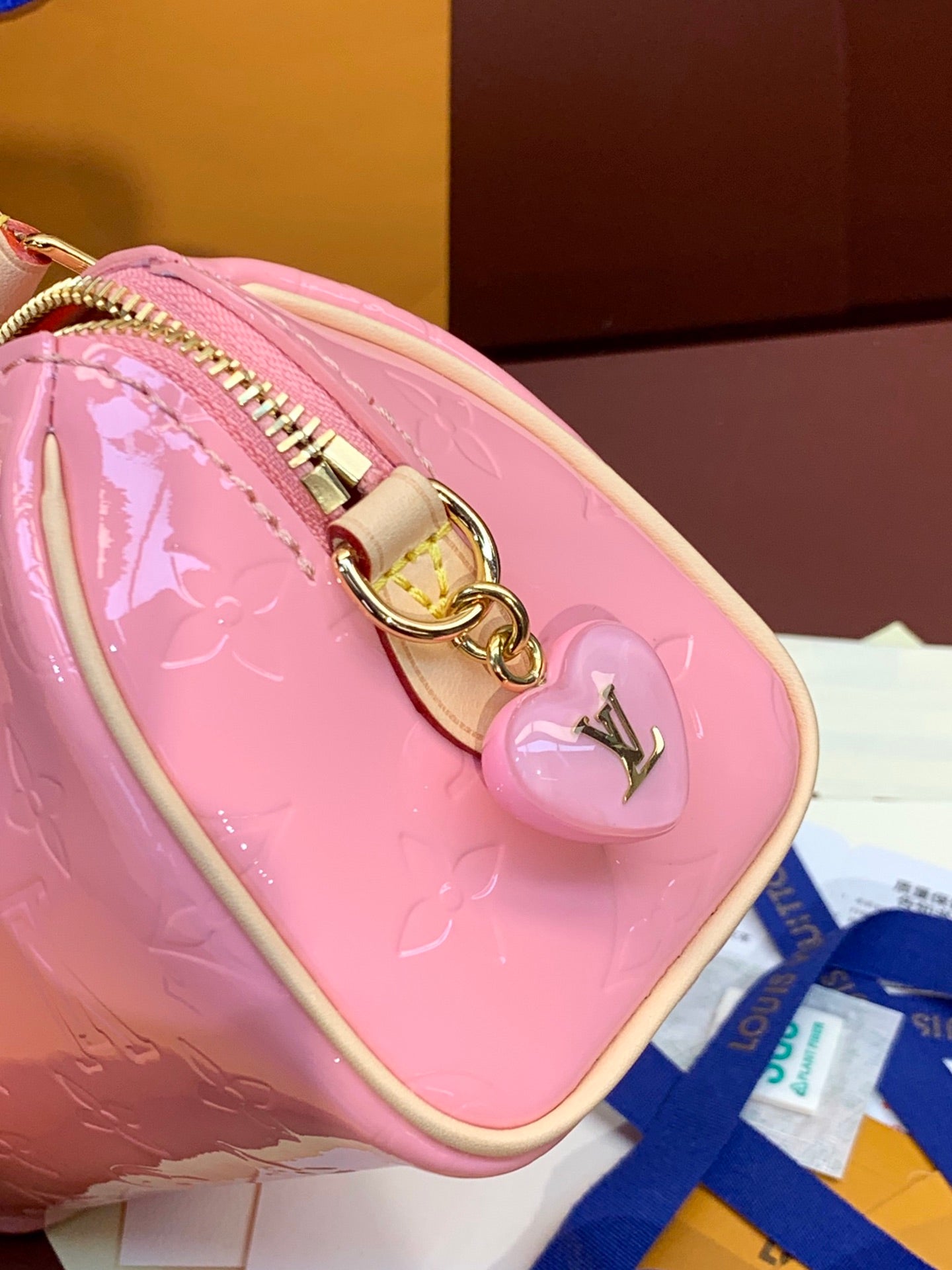 Louis Vuitton Handbag