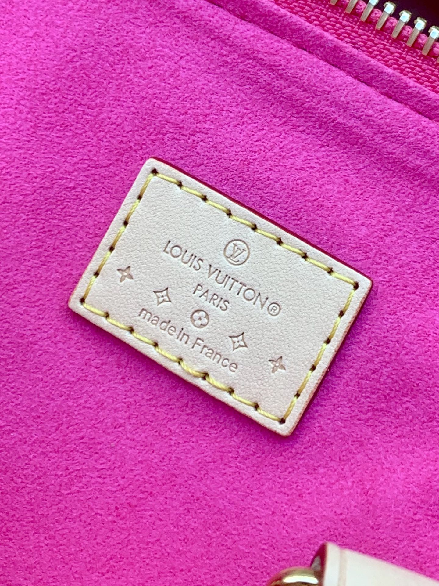 Louis Vuitton Handbag