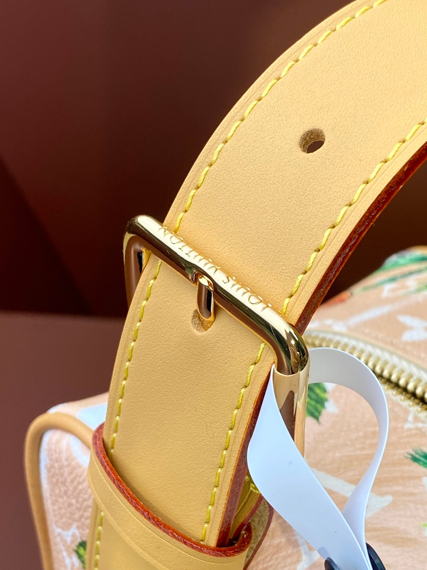 Louis Vuitton Handbag